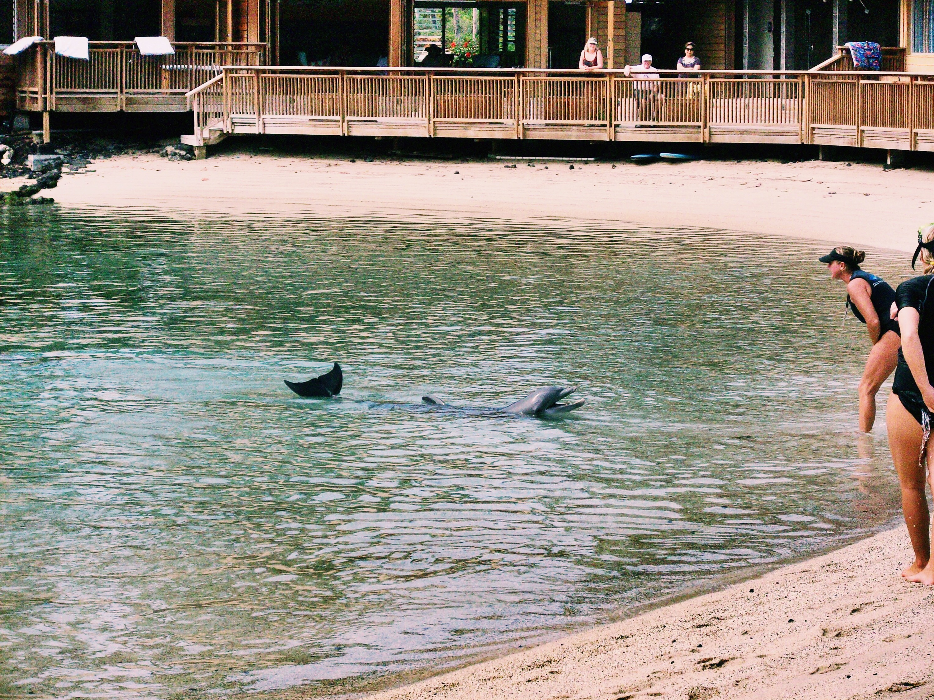 hilton waikoloa hawaii