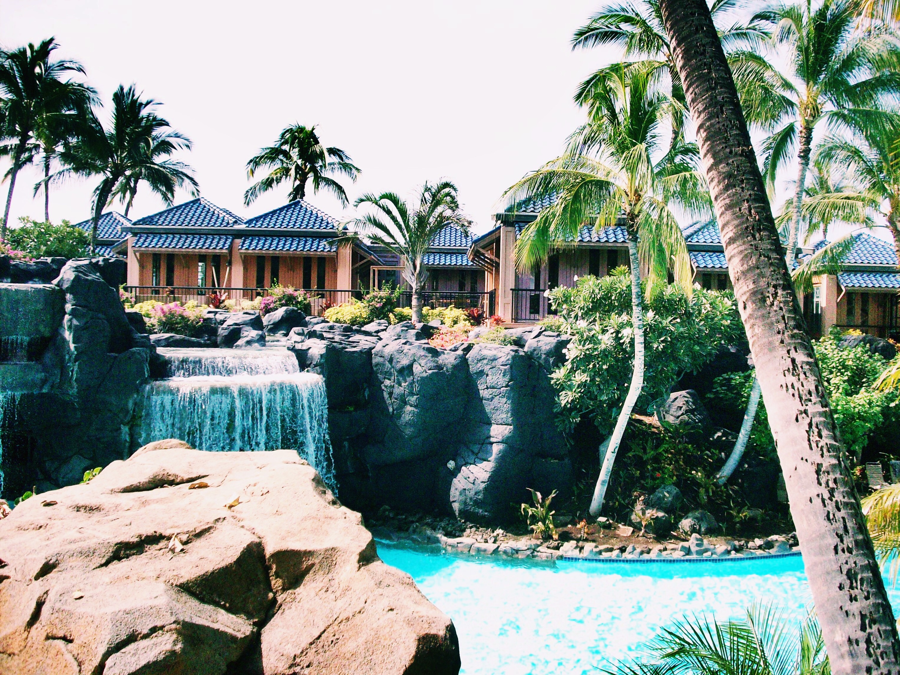 hilton hawaii