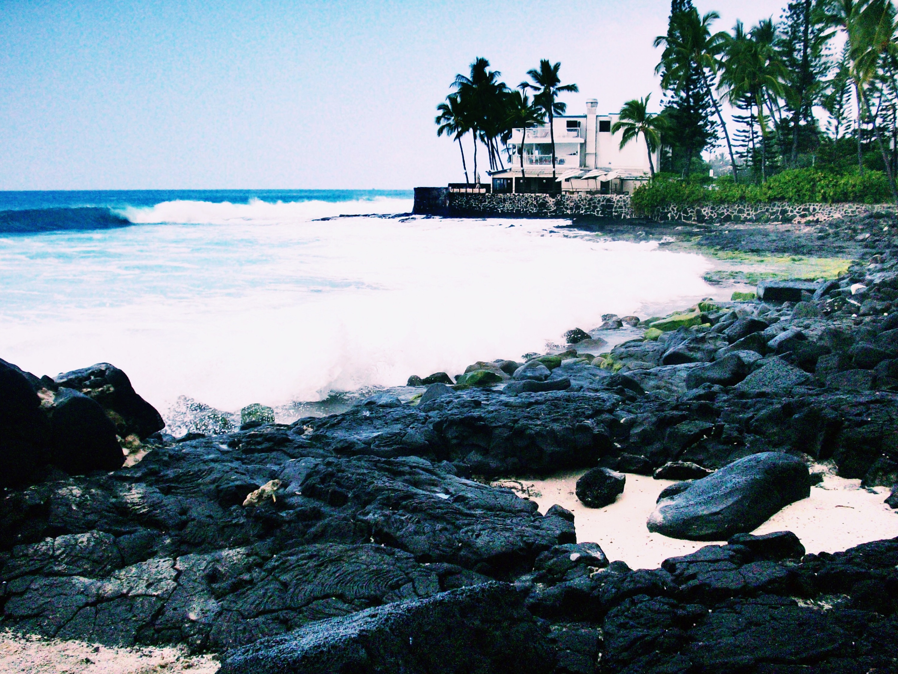 hilton hawaii