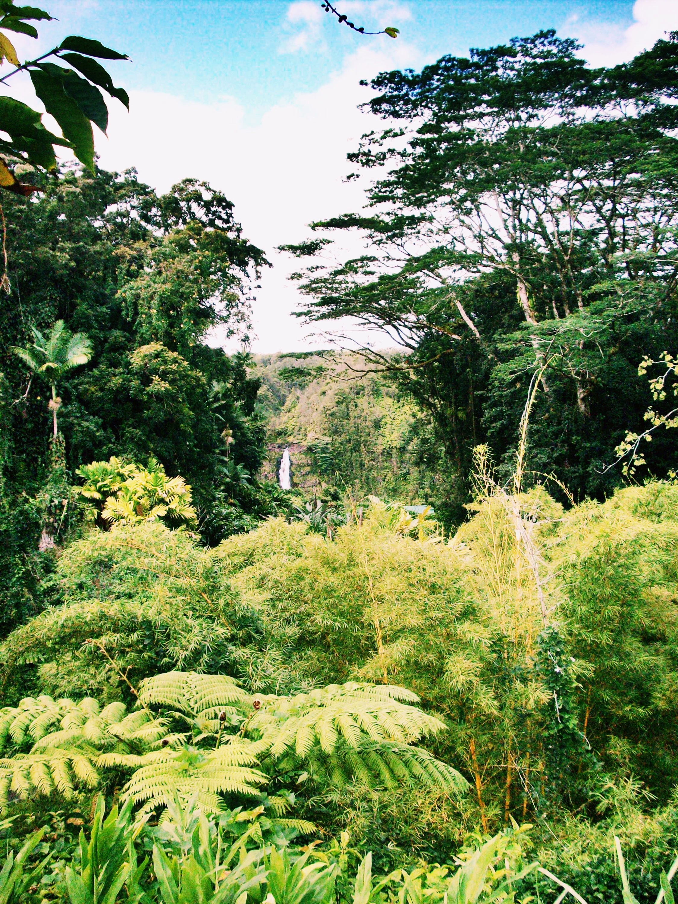 hilo hawaii