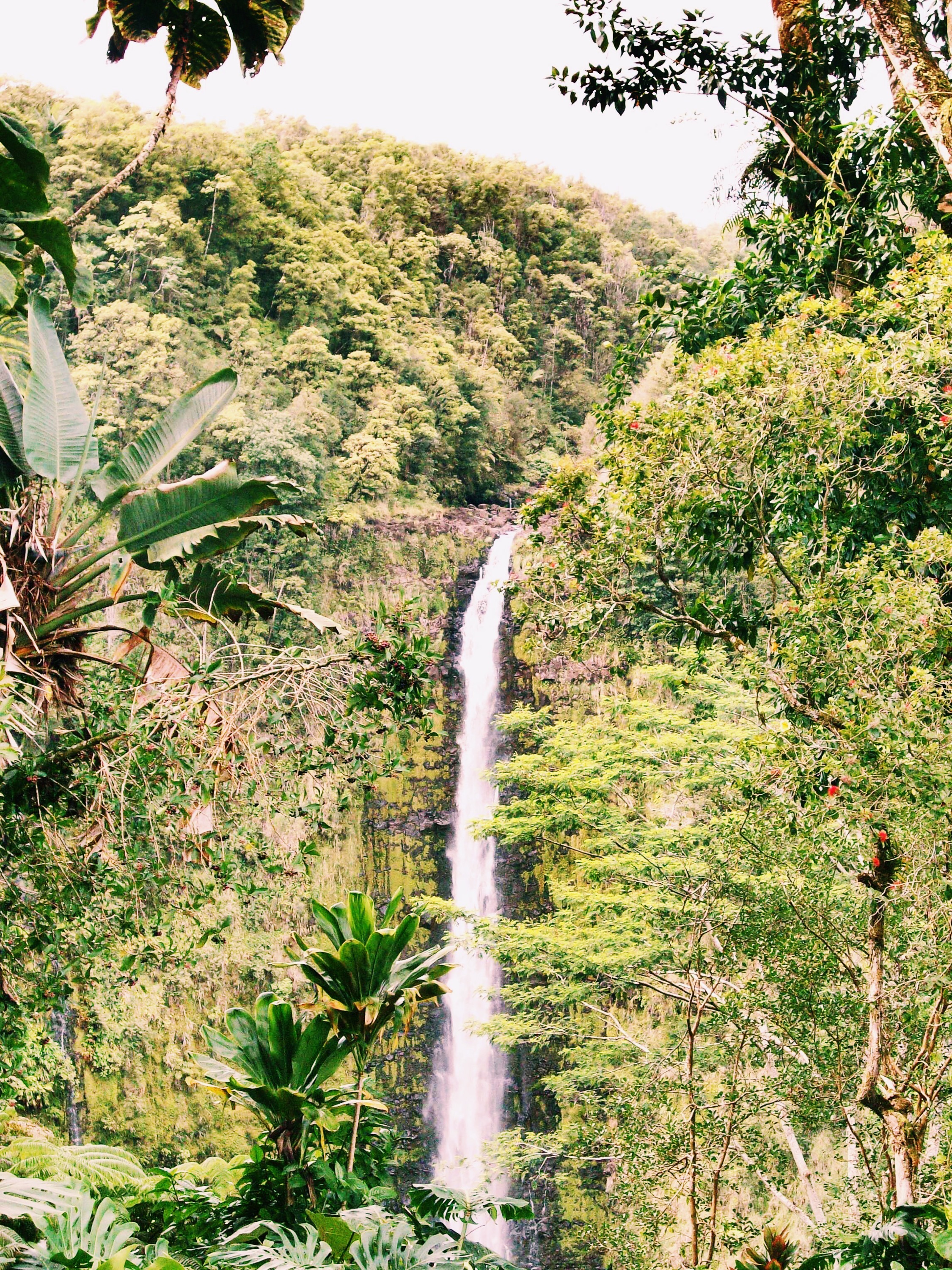 hilo hawaii