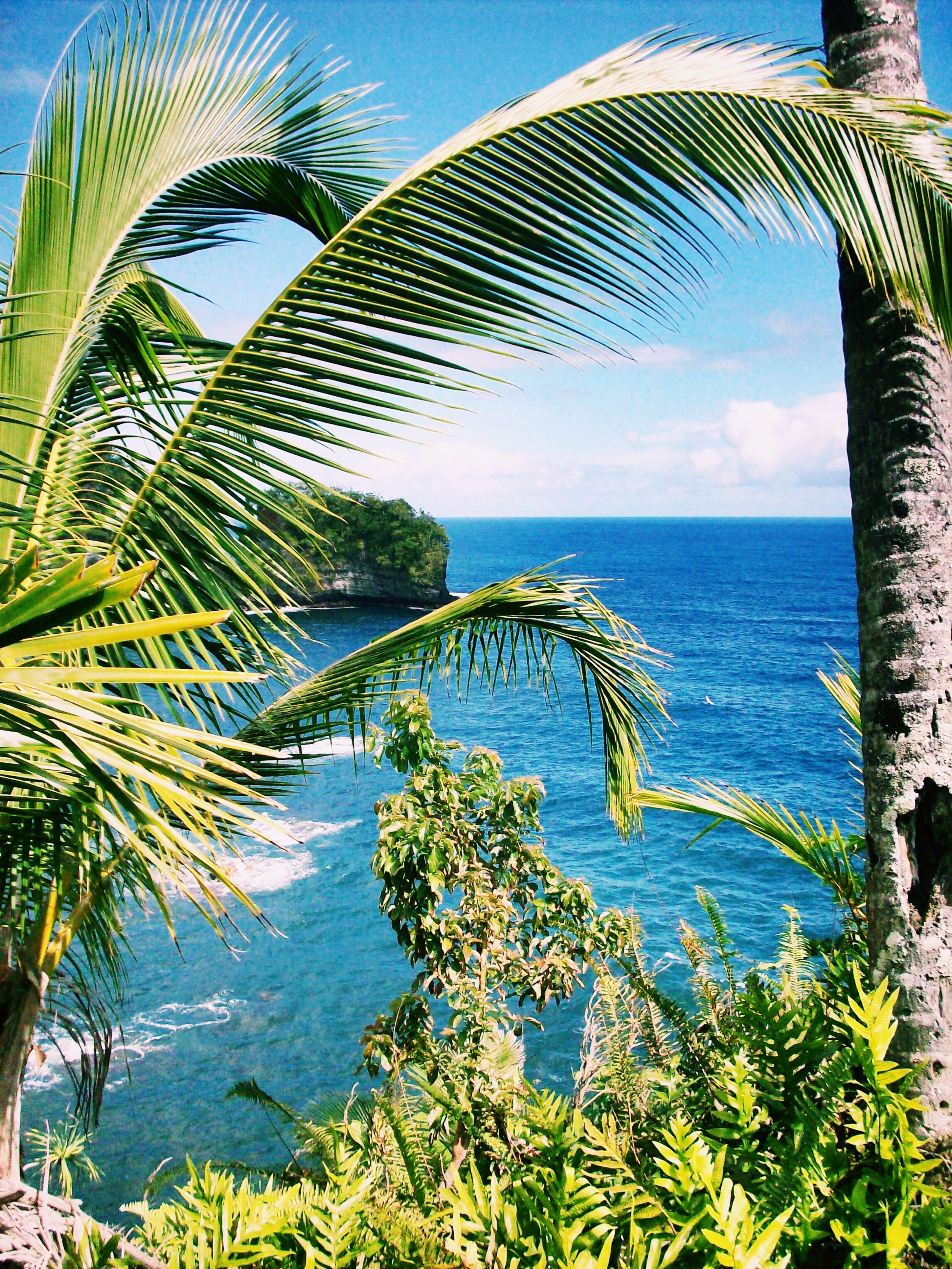 hilo hawaii