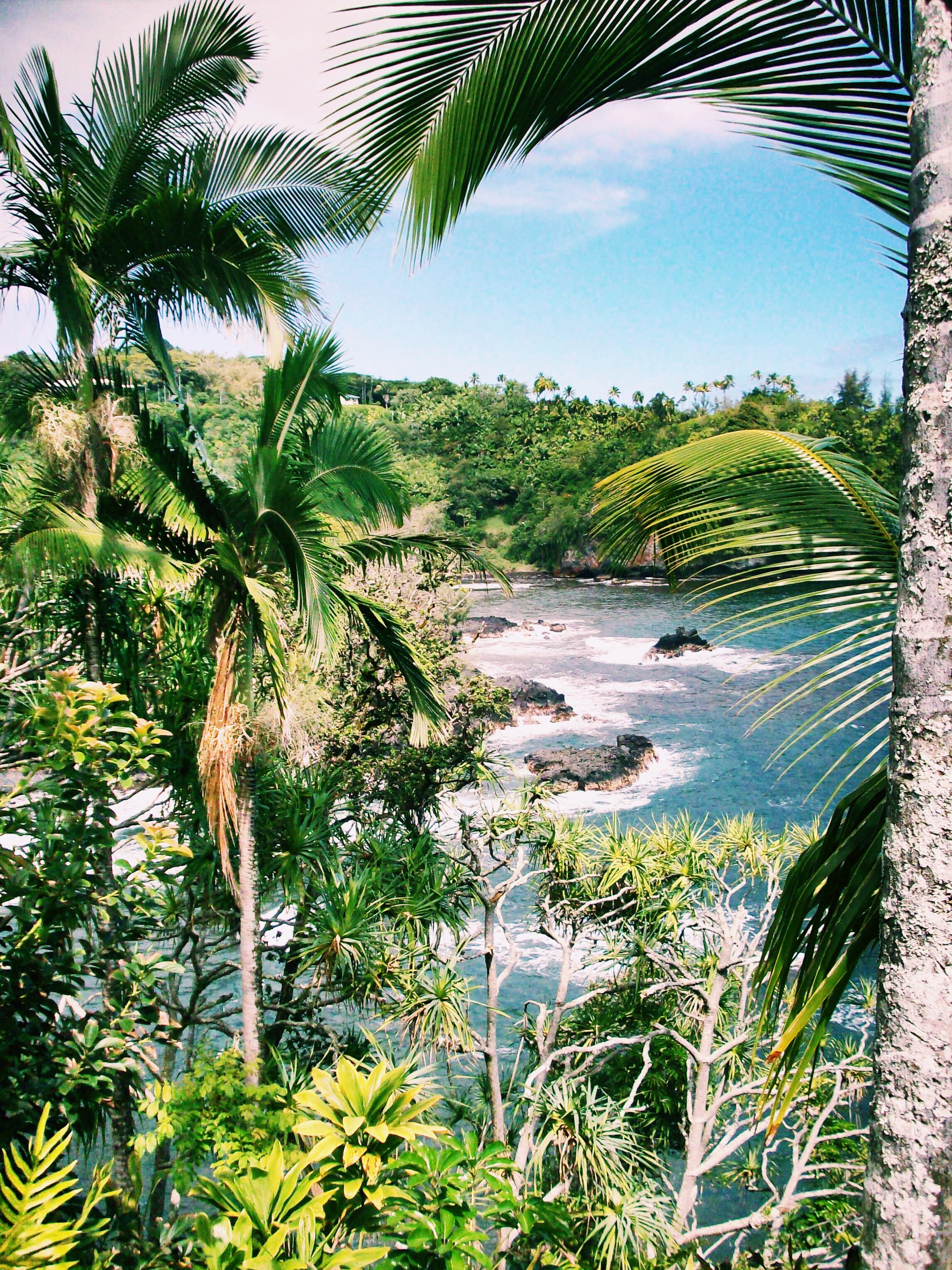 hilo hawaii