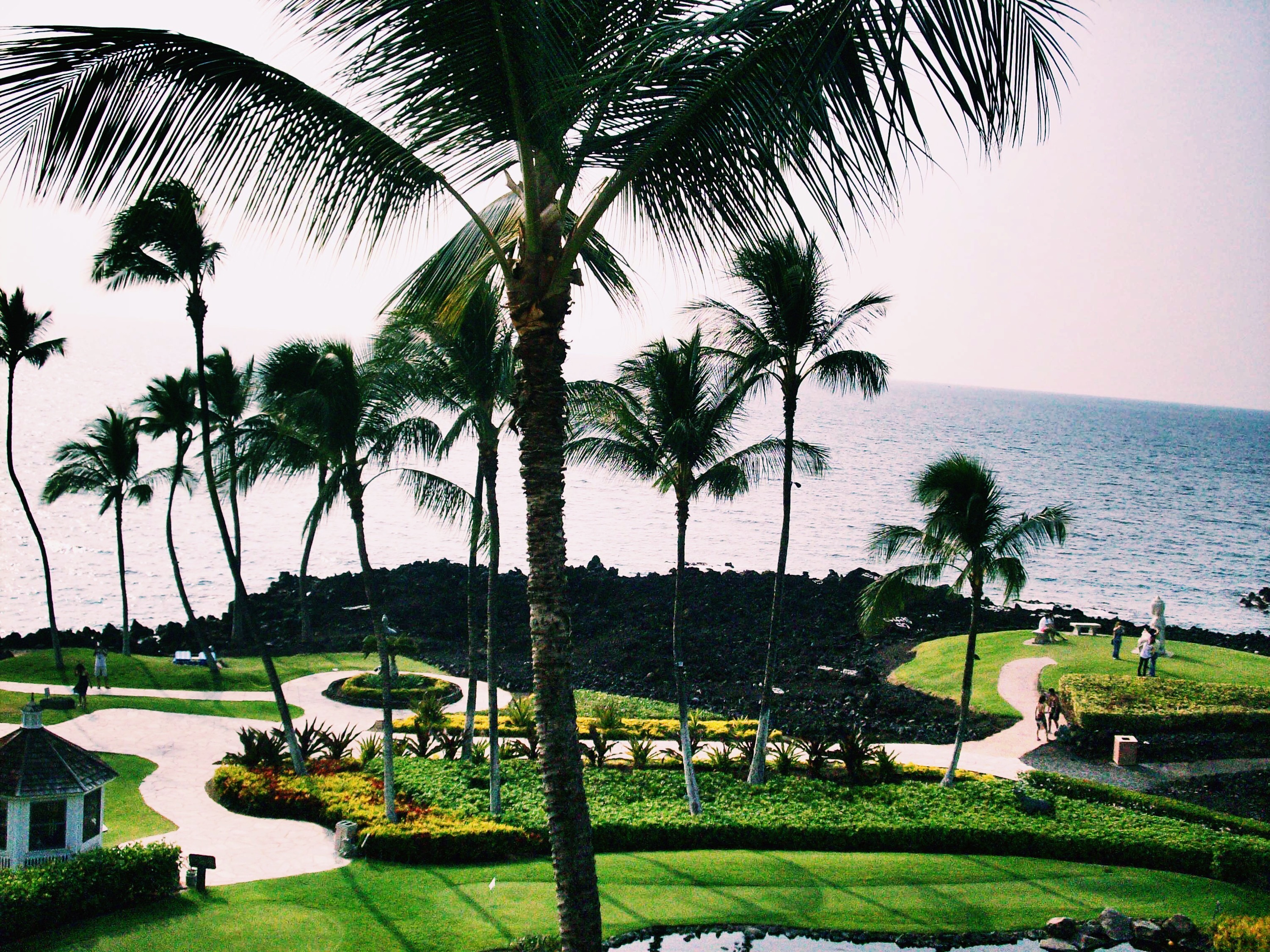 hawaii hilton waikoloa