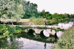 cotswolds england