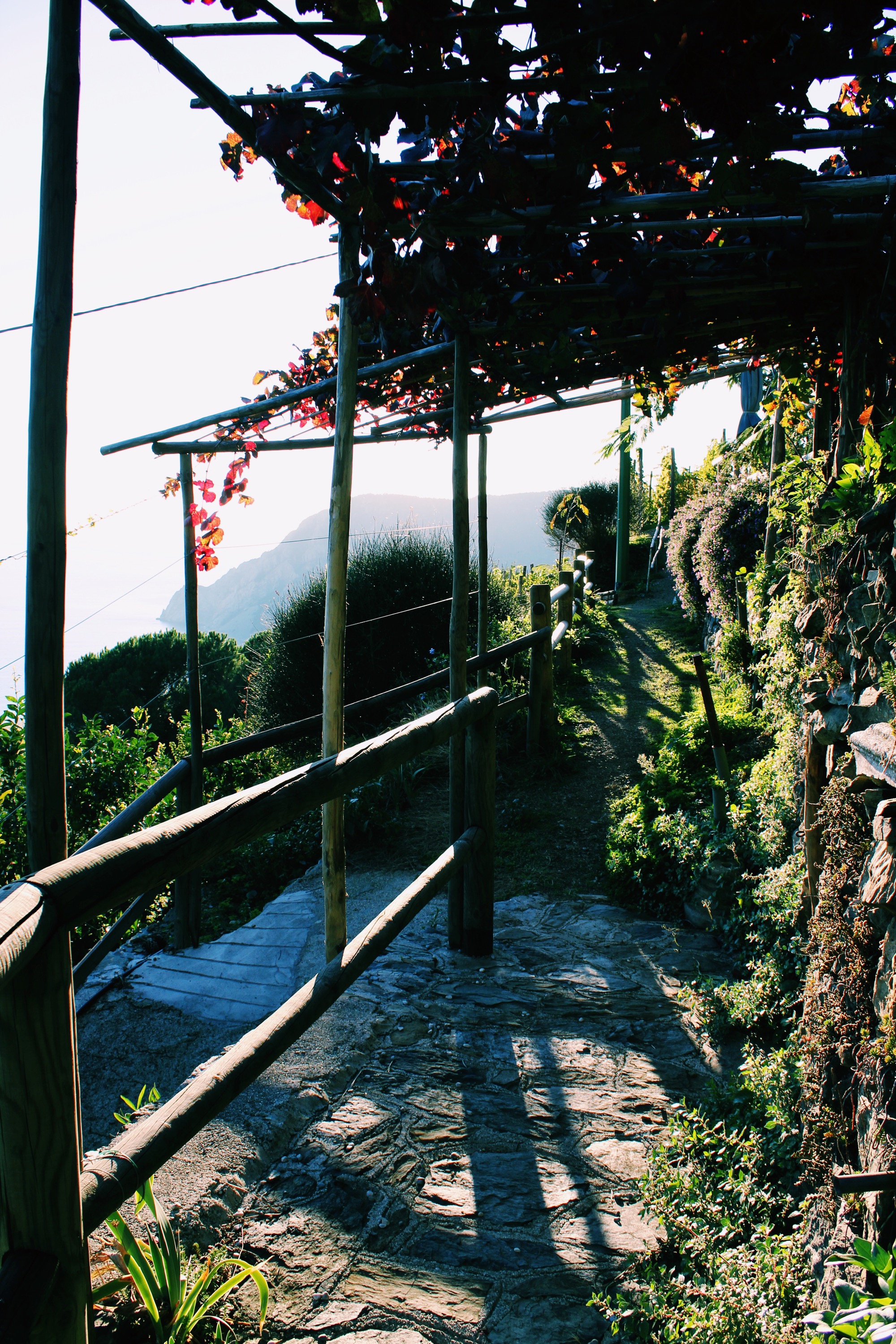 cinque-terre-airbnb