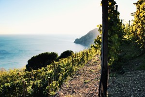 cinque-terre-airbnb