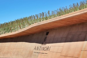 antinori