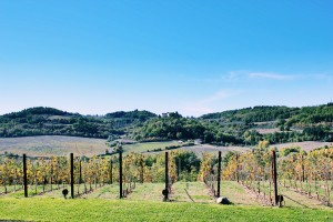 antinori