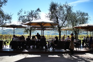 antinori