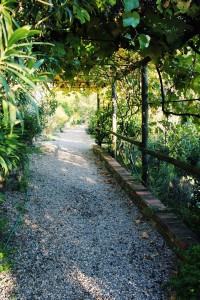 cinque-terre-airbnb