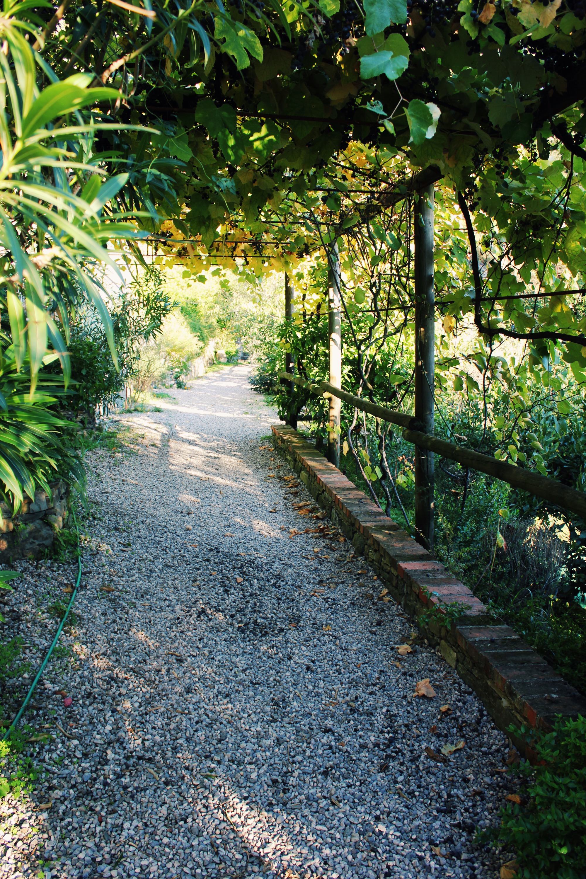 cinque-terre-airbnb