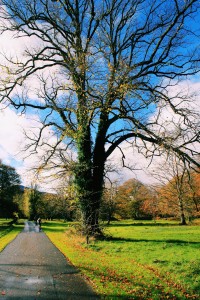 killarney ireland