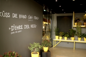 hotel schani vienna
