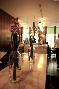 guest house vienna