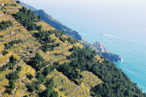 cinque-terre-italy