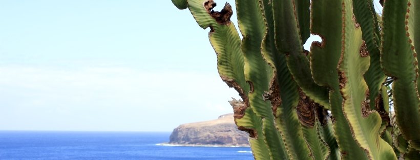 LITTLE-MISTRESS-canary-islands
