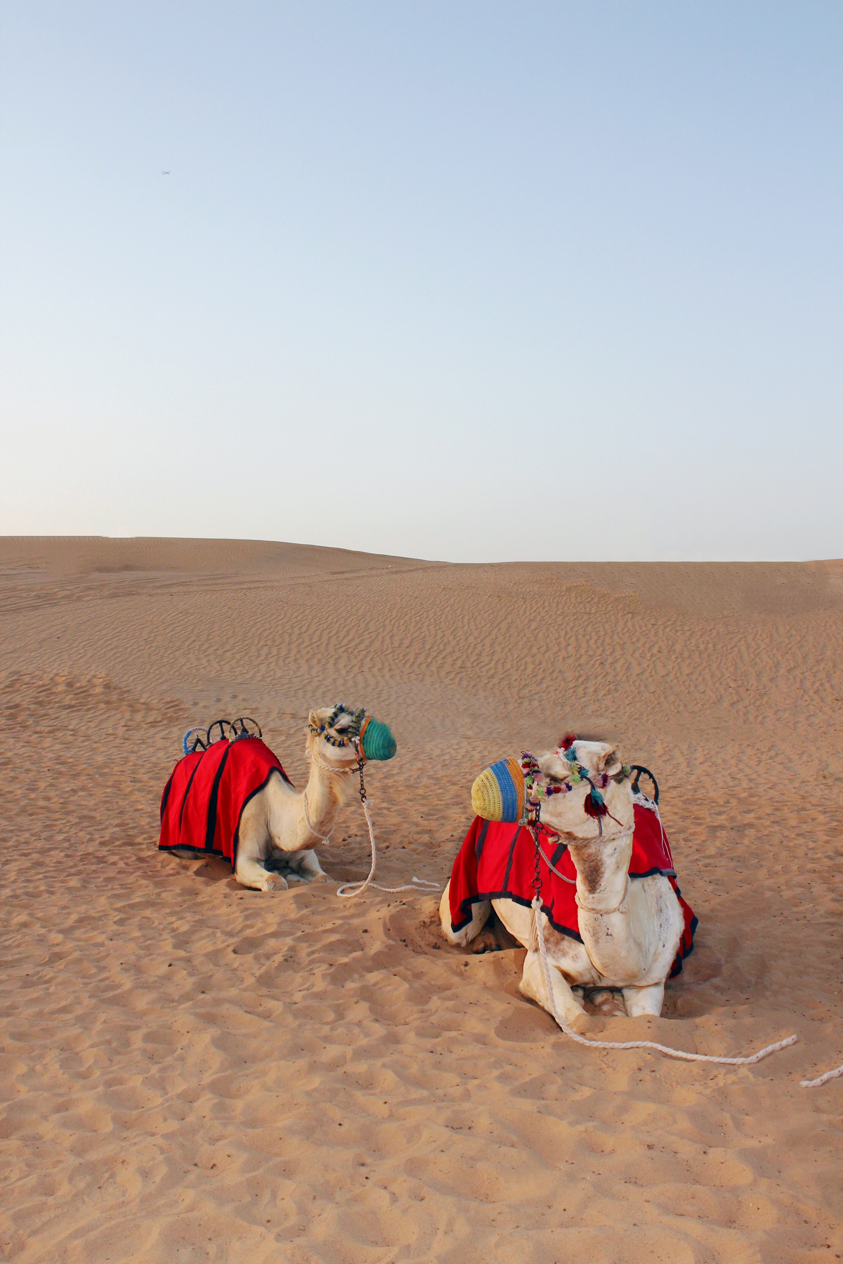 DUBAI-DESERT-SAFARI