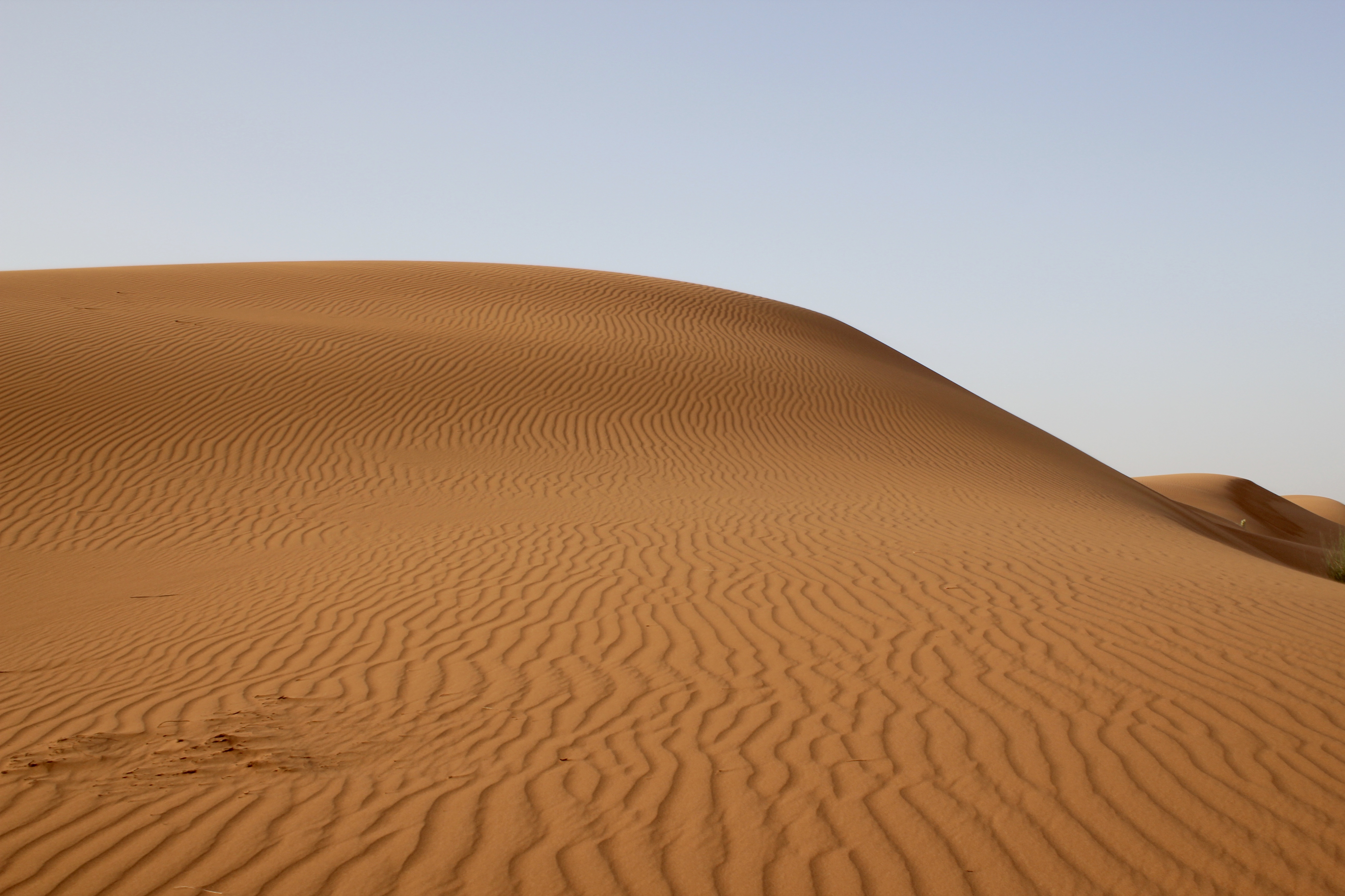 DUBAI-DESERT-SAFARI