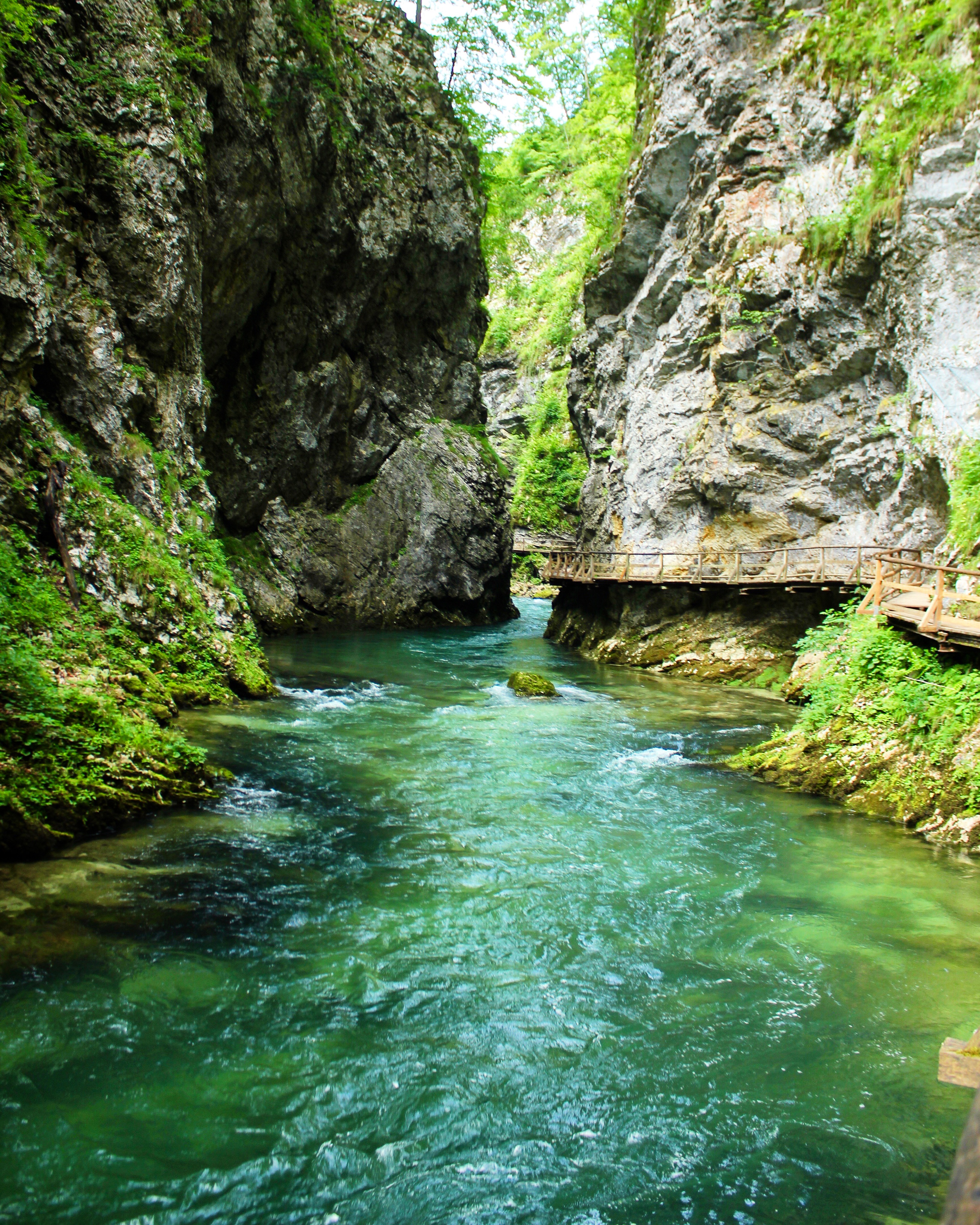 VINTGAR-GORGE-SLOVENIA