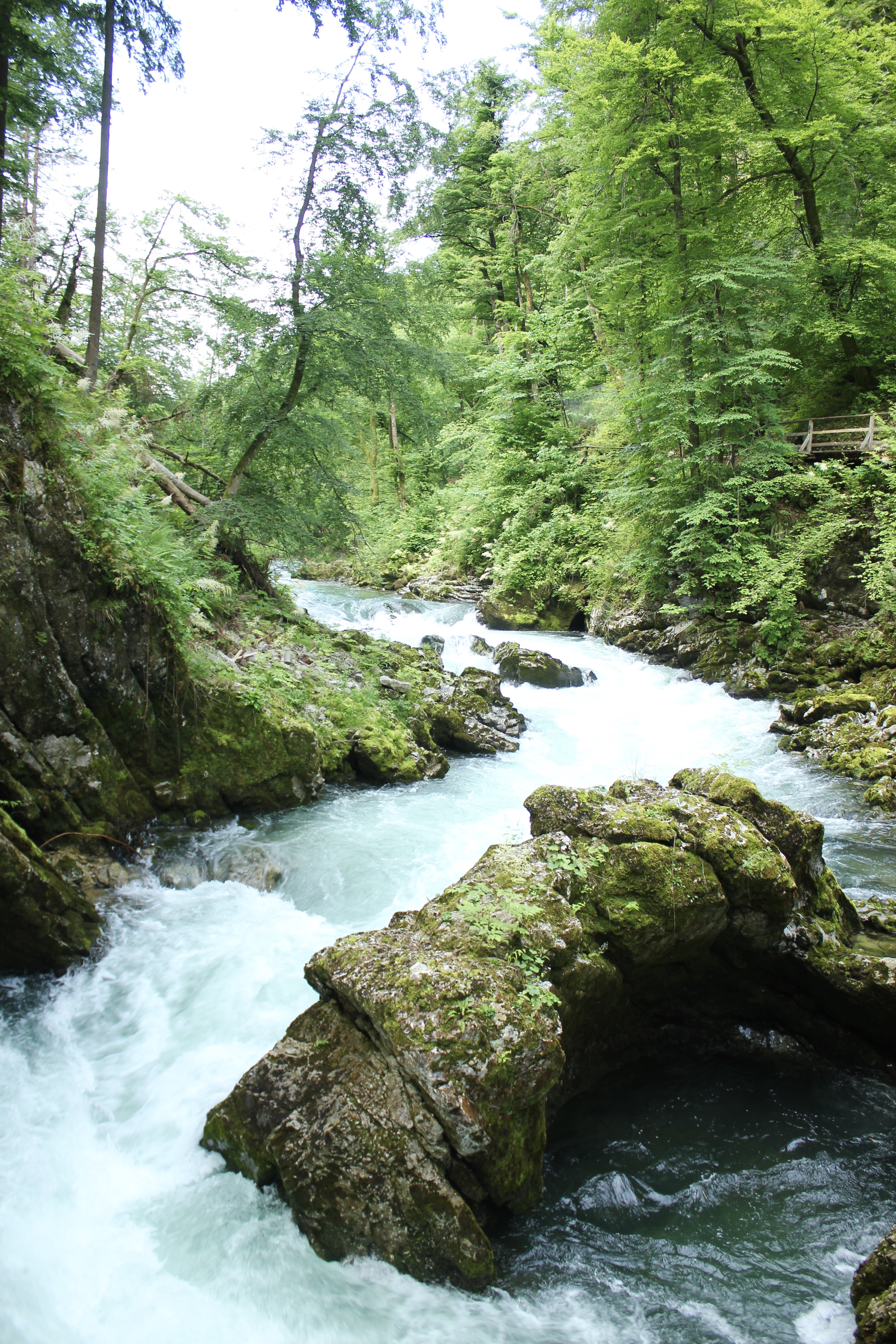 VINTGAR-GORGE-SLOVENIA