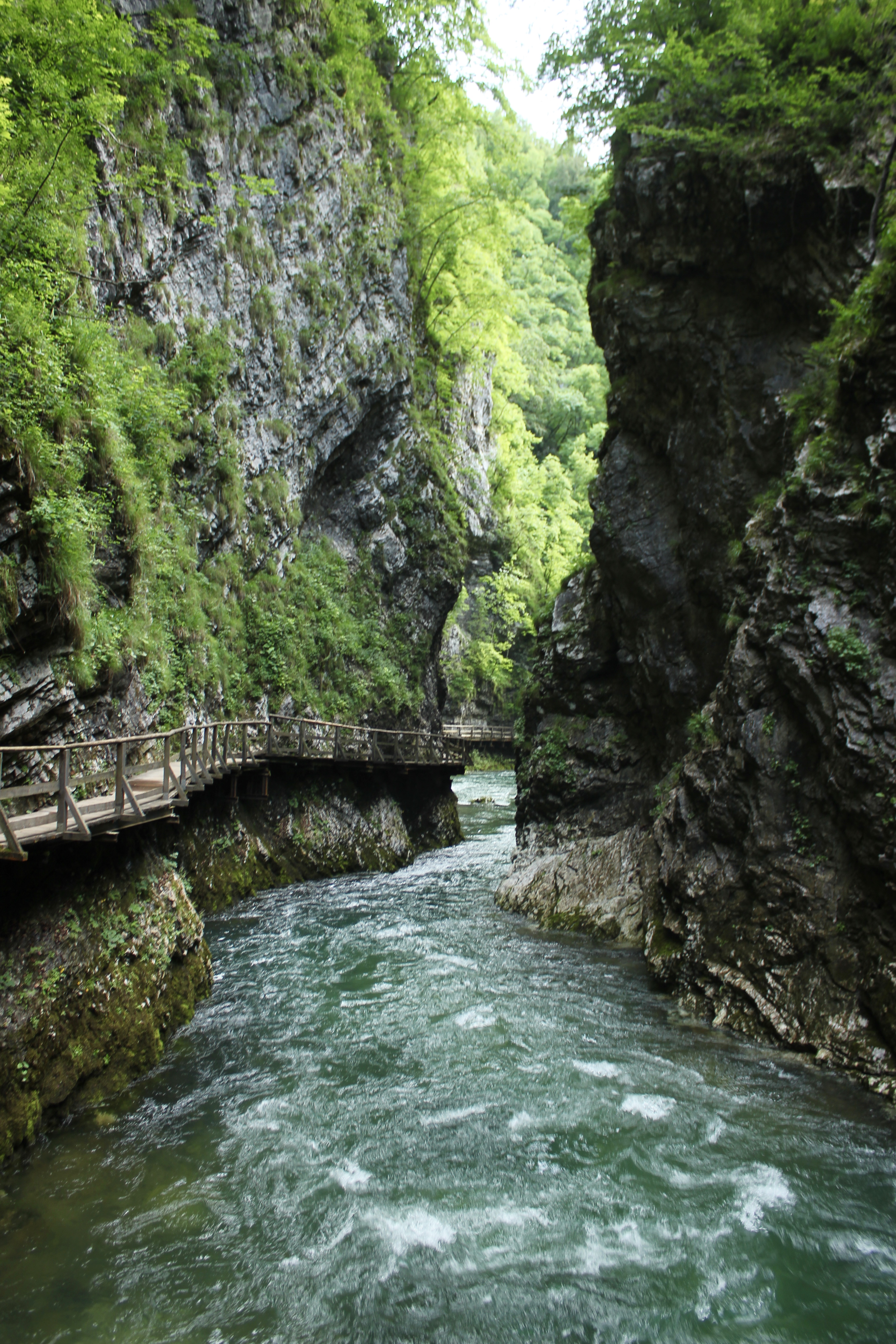 VINTGAR-GORGE-SLOVENIA
