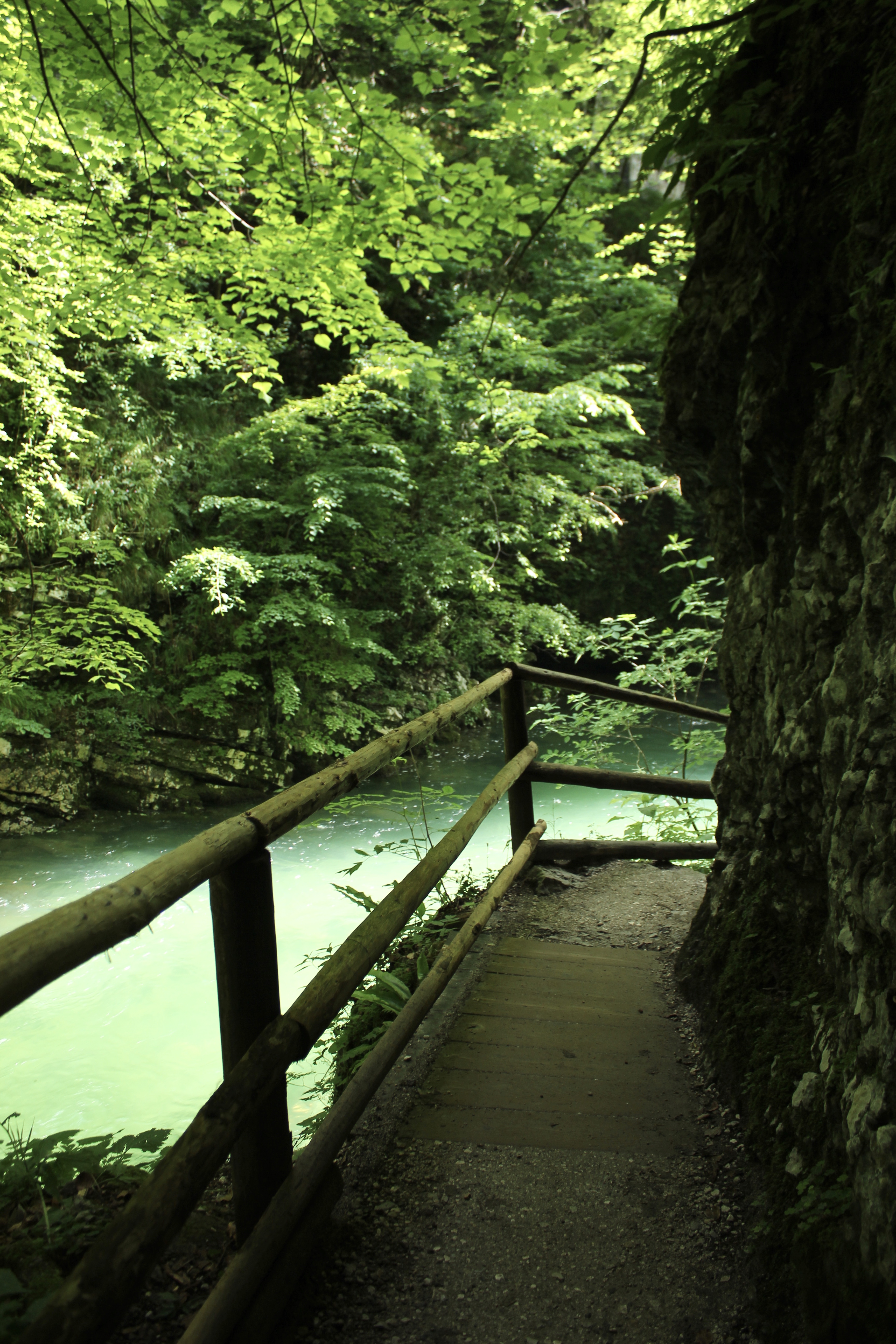 VINTGAR-GORGE-SLOVENIA