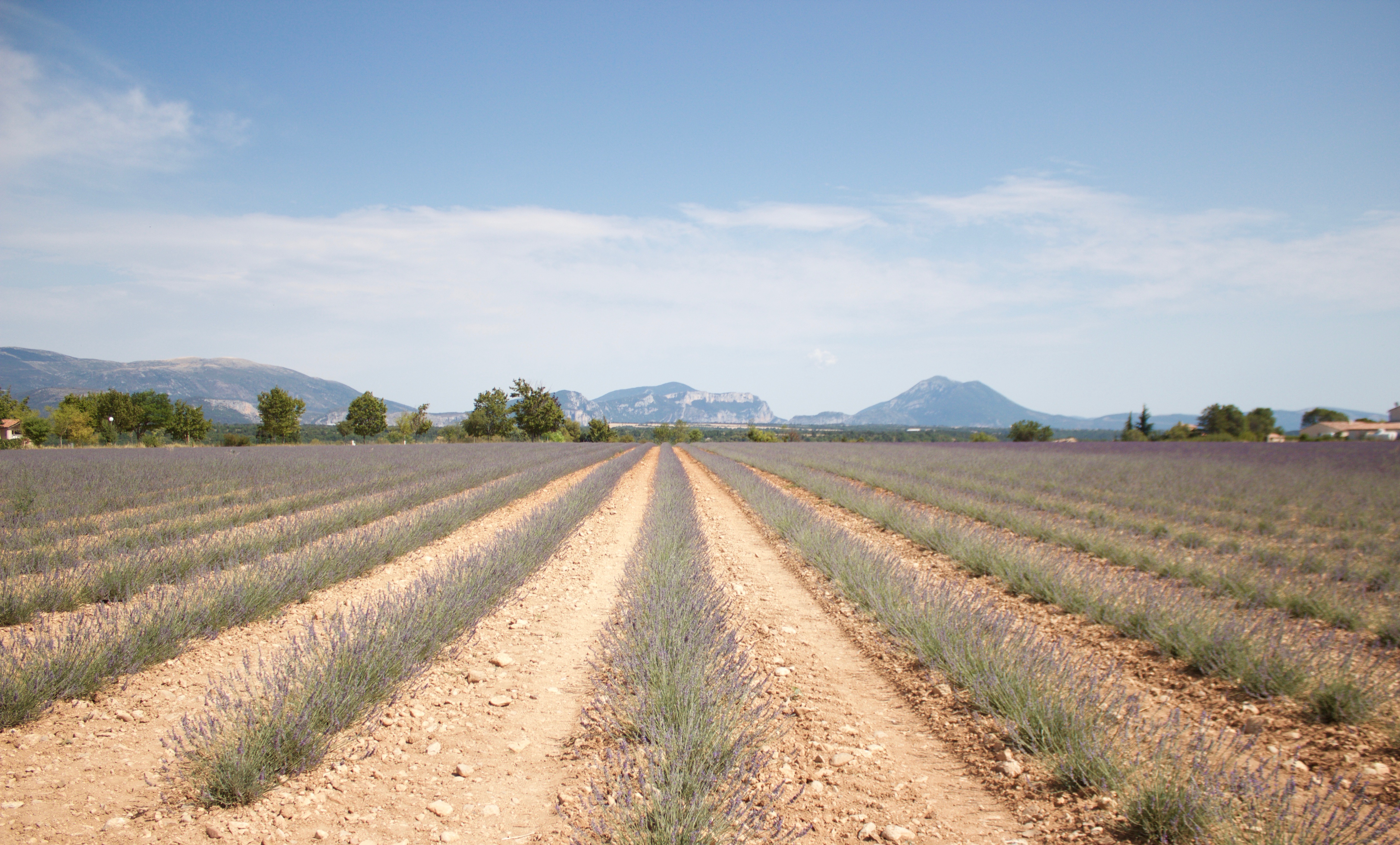 provence-france