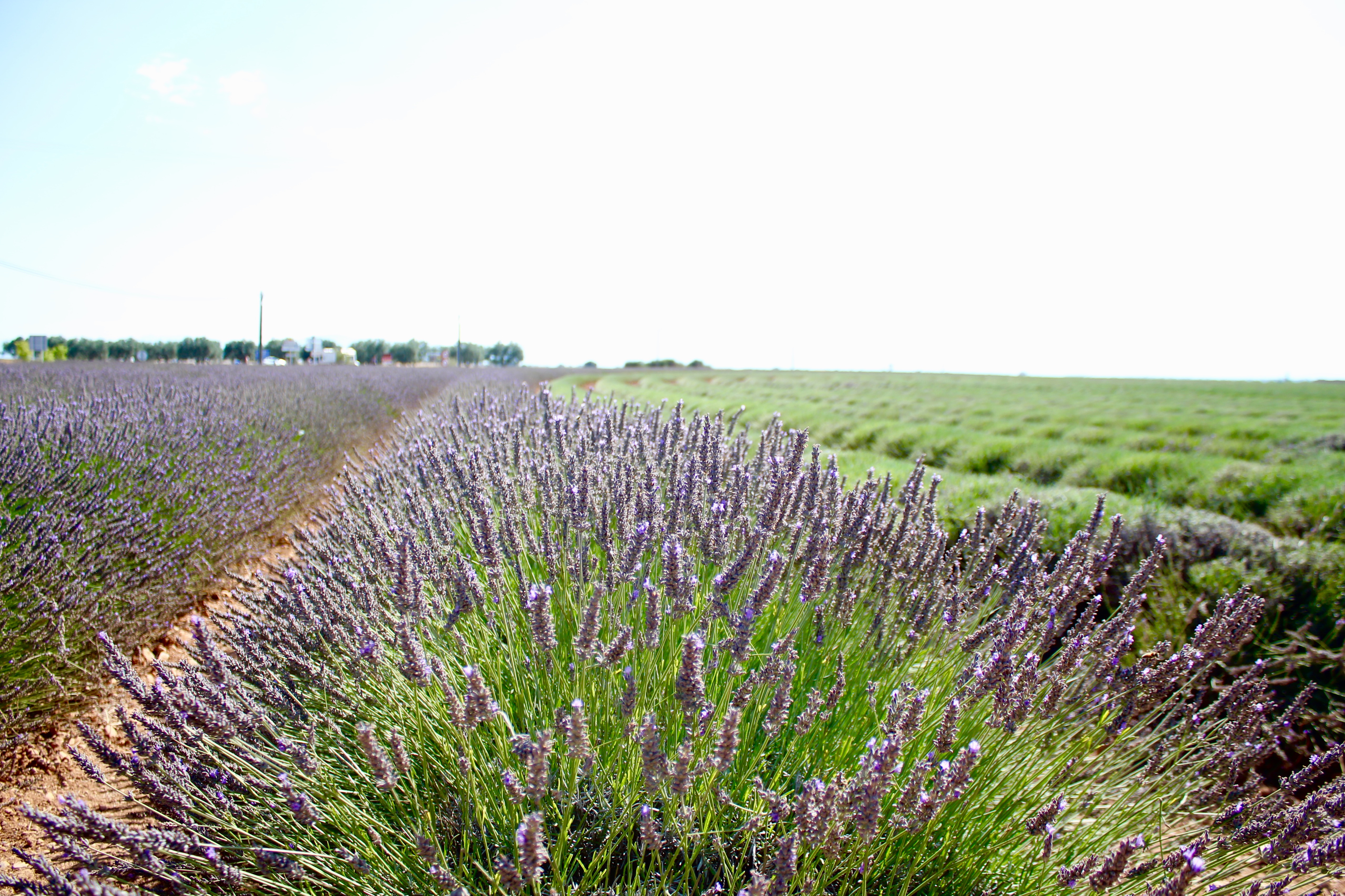 provence-france