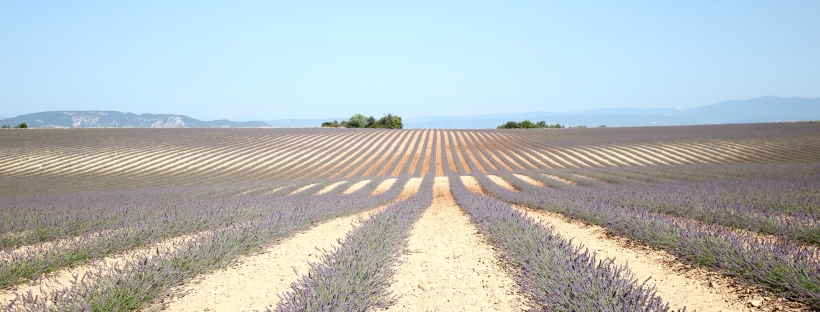 provence-france