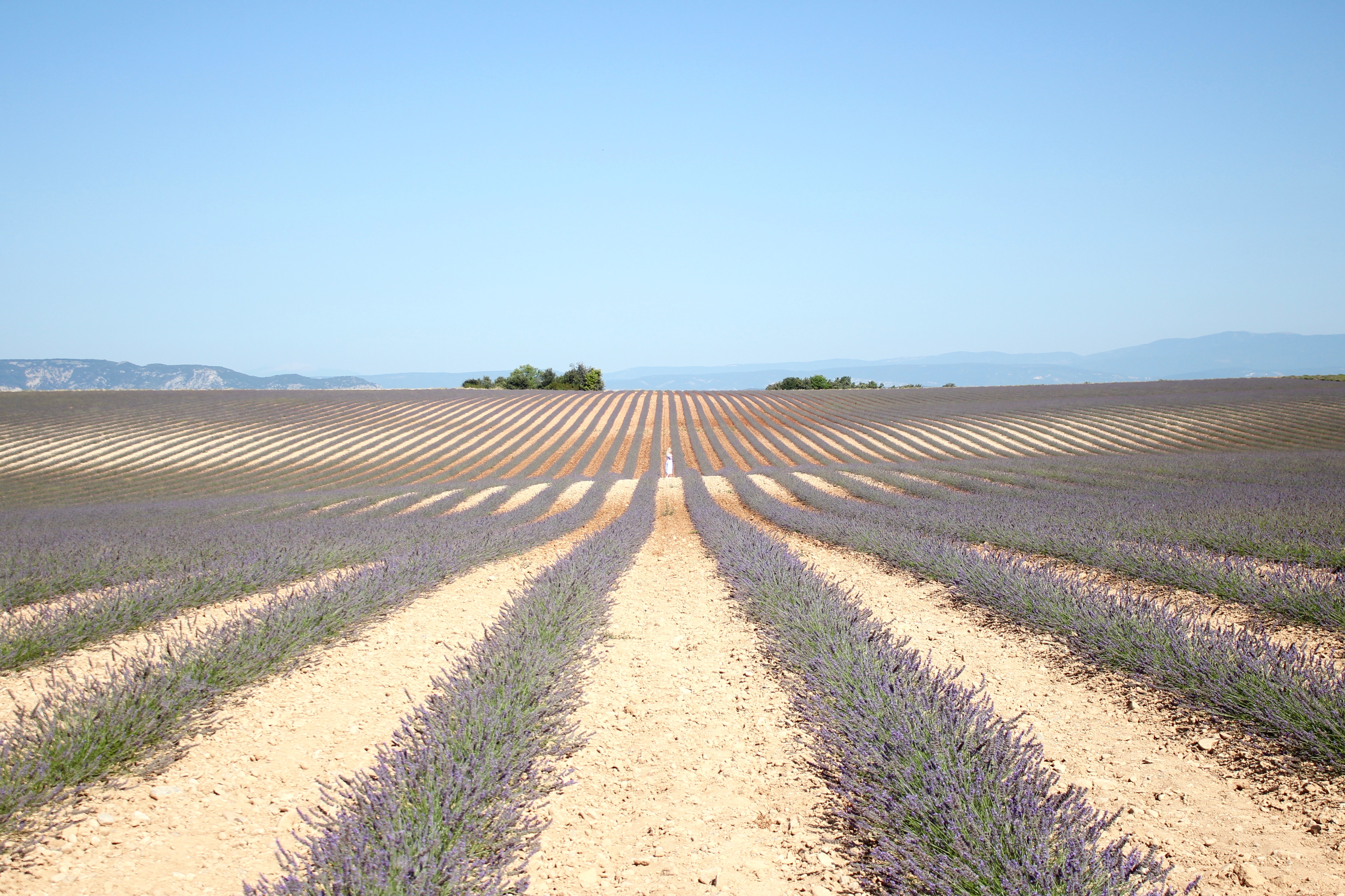 provence-france