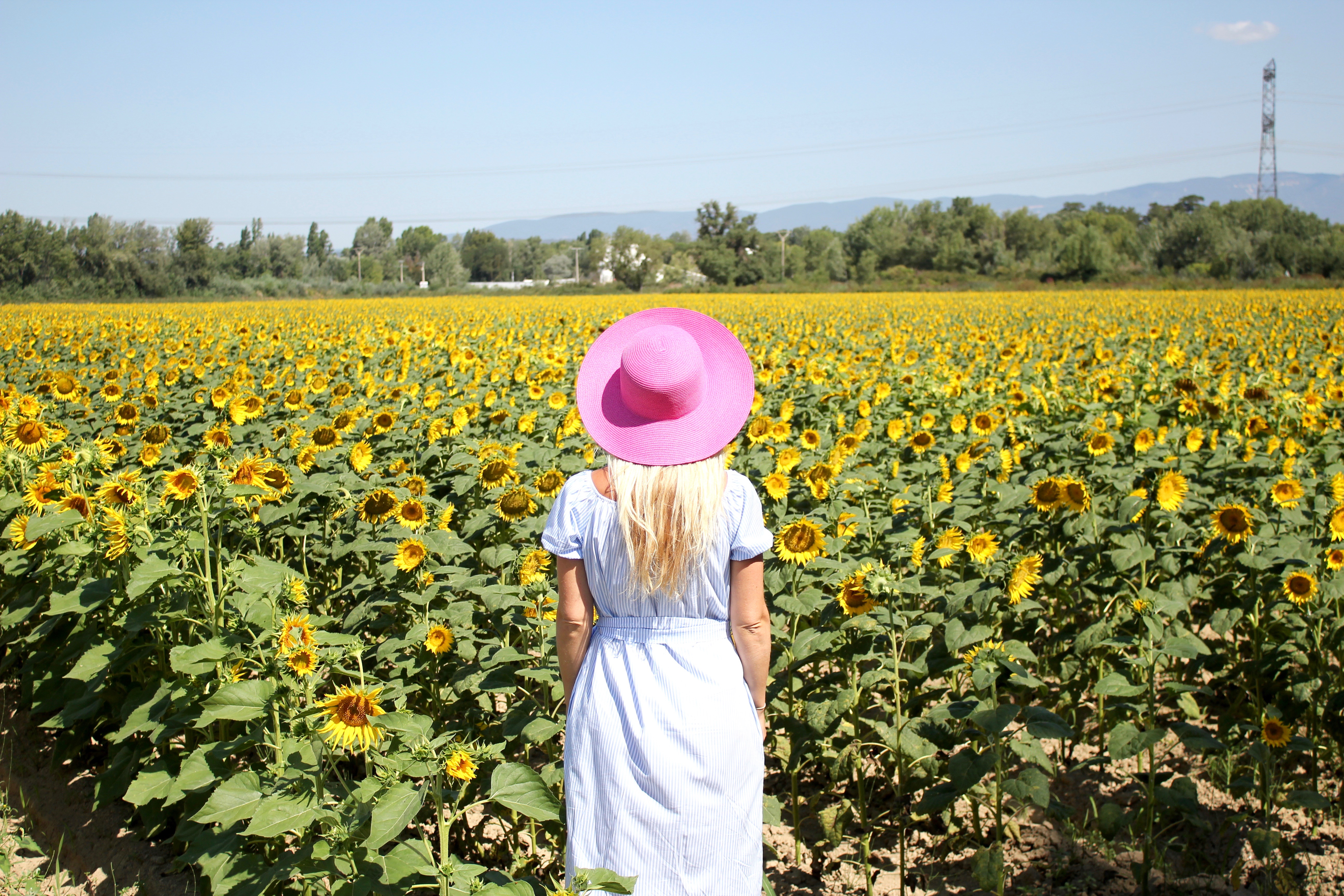 provence-france