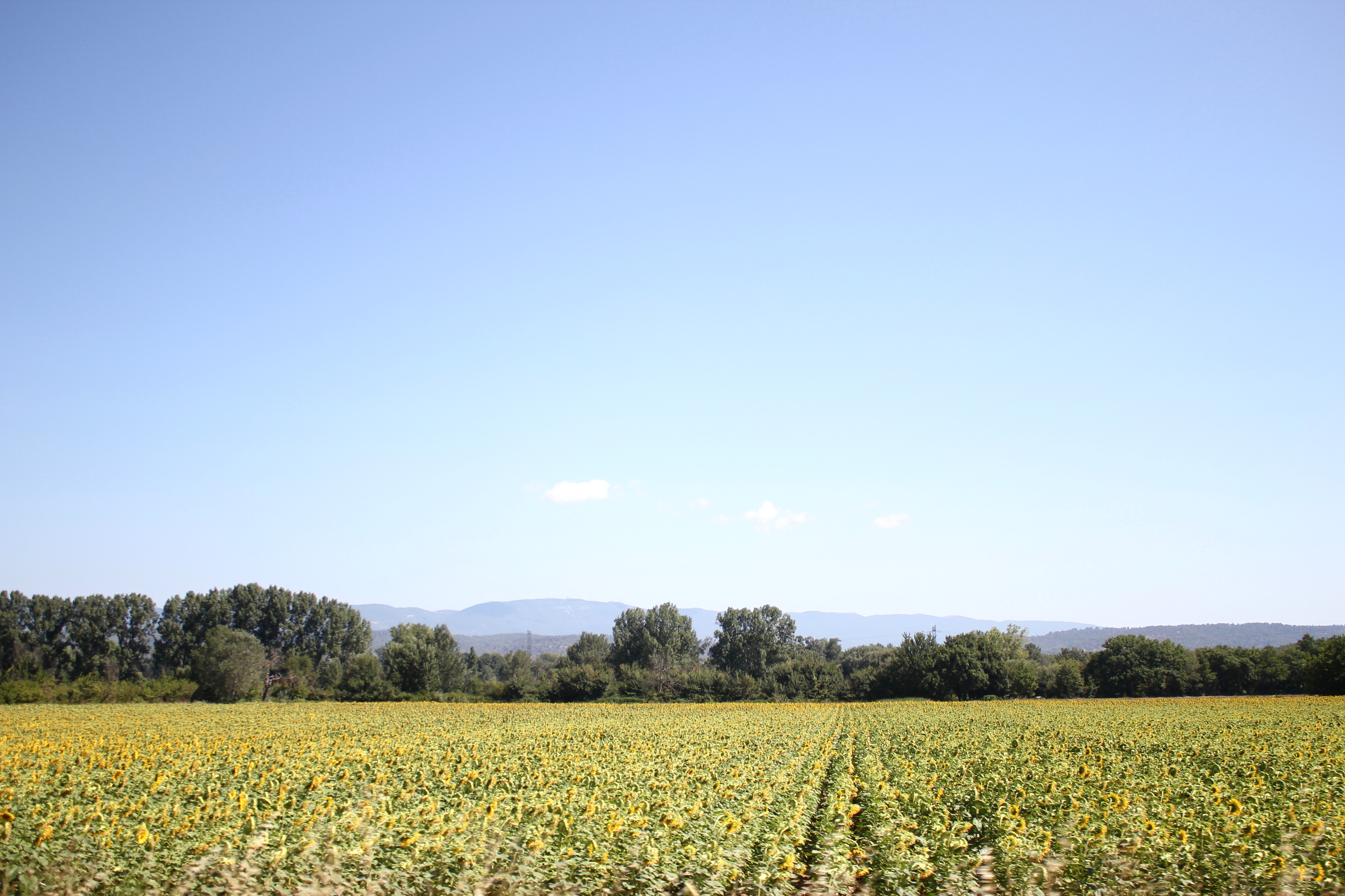 provence-france