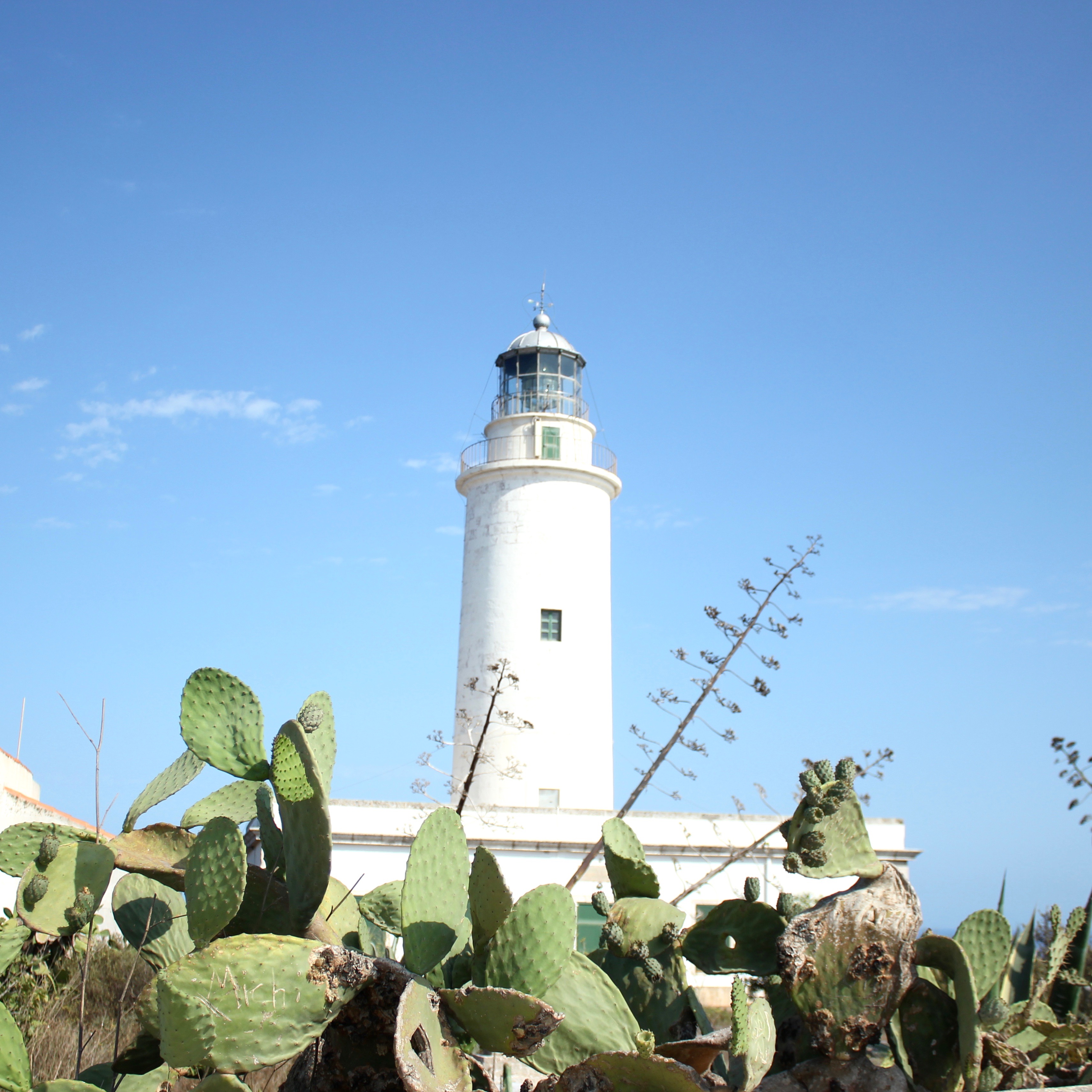 formentera-photos