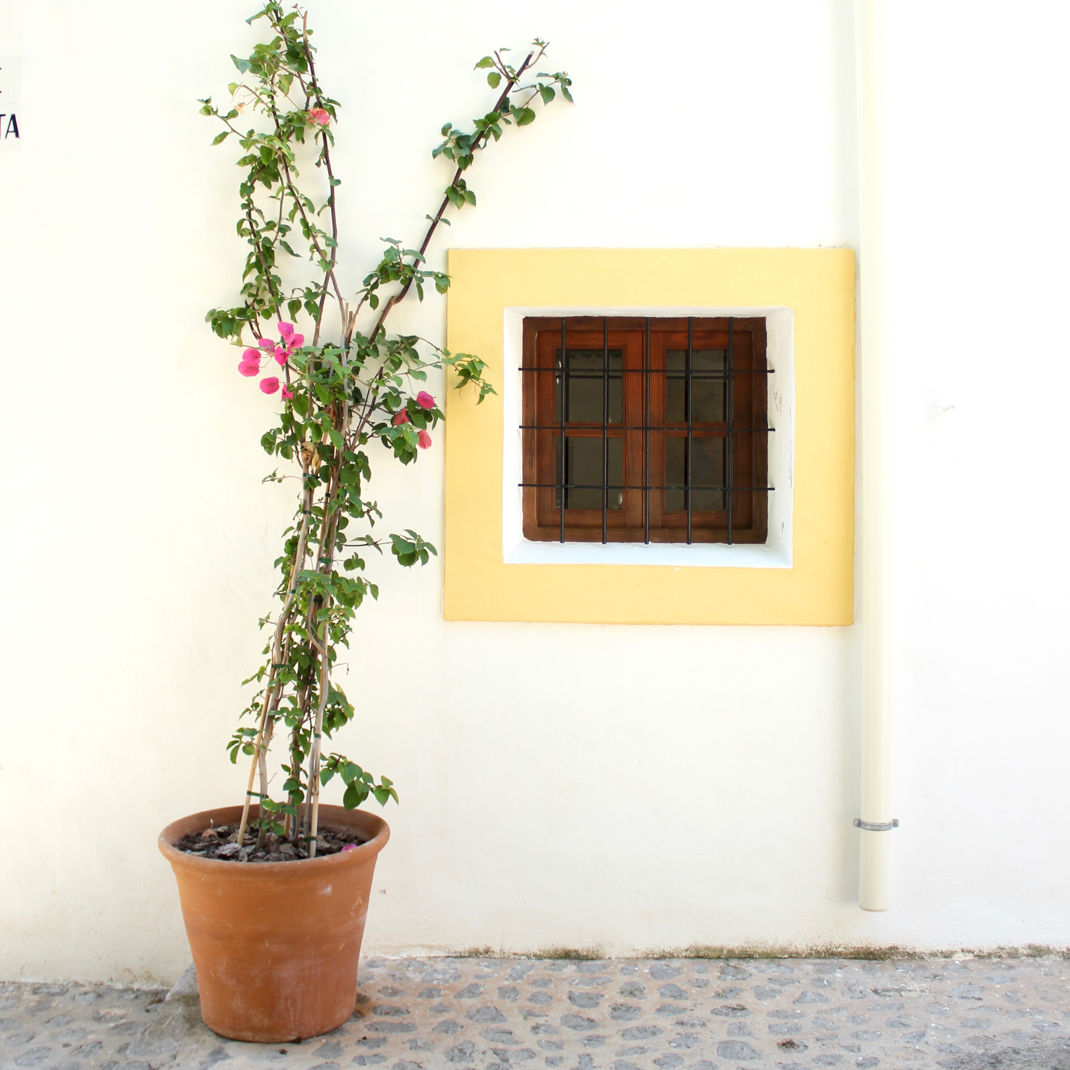 ibiza-guide
