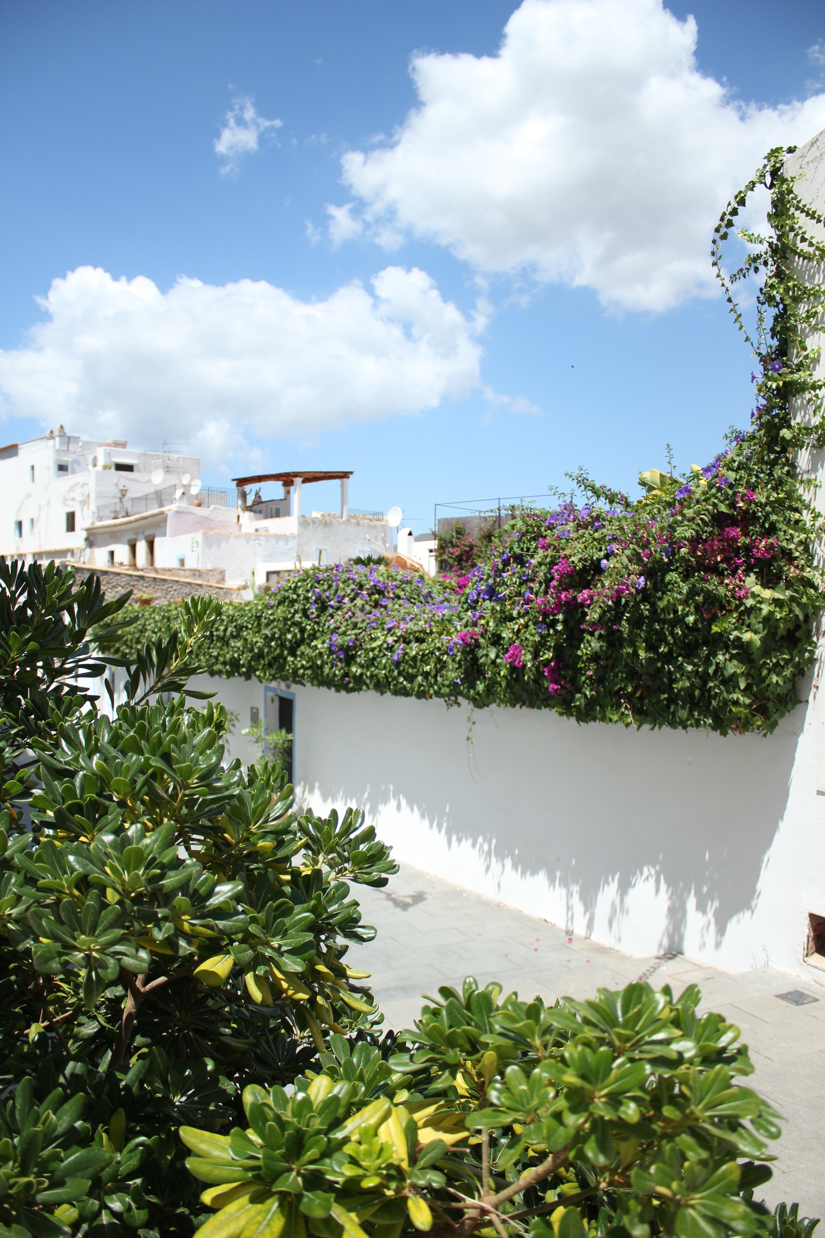 ibiza-guide