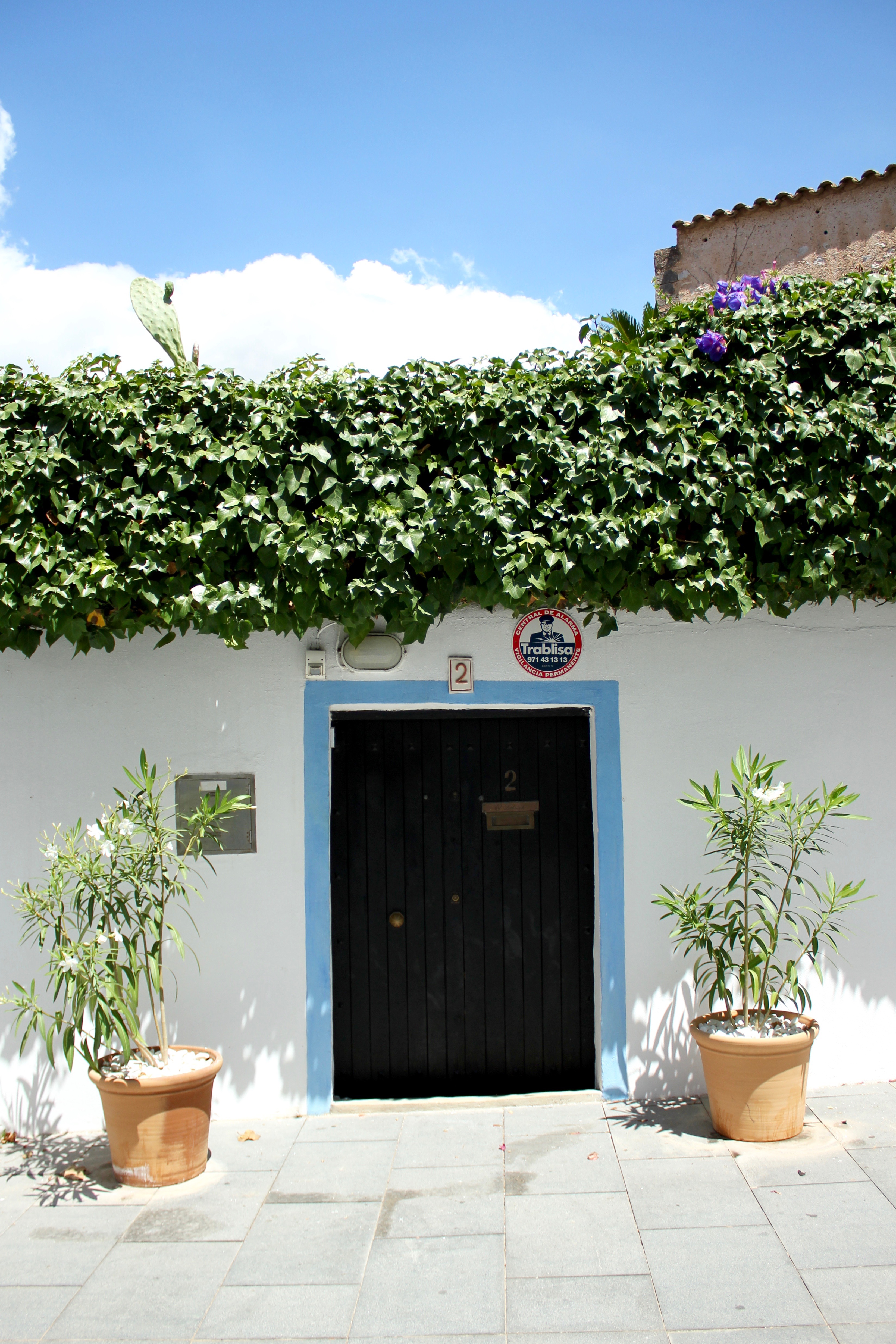 ibiza-guide
