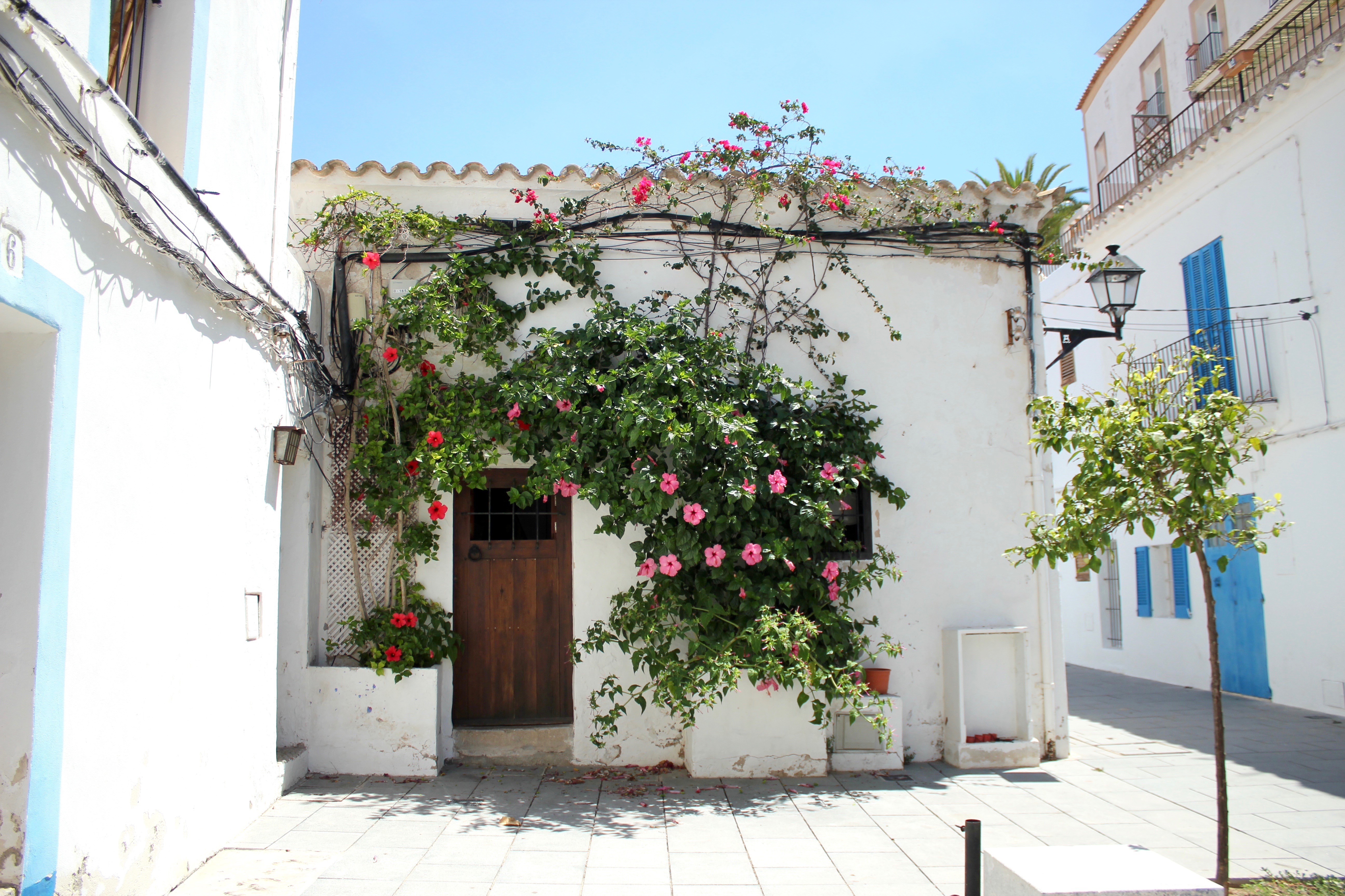ibiza-guide