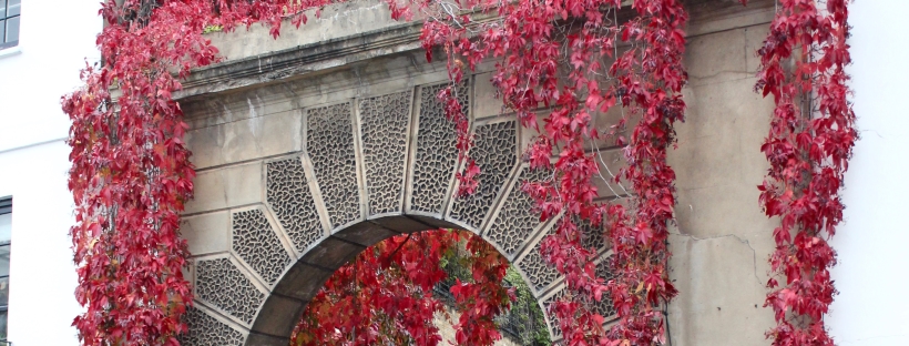 AUTUMN LONDON