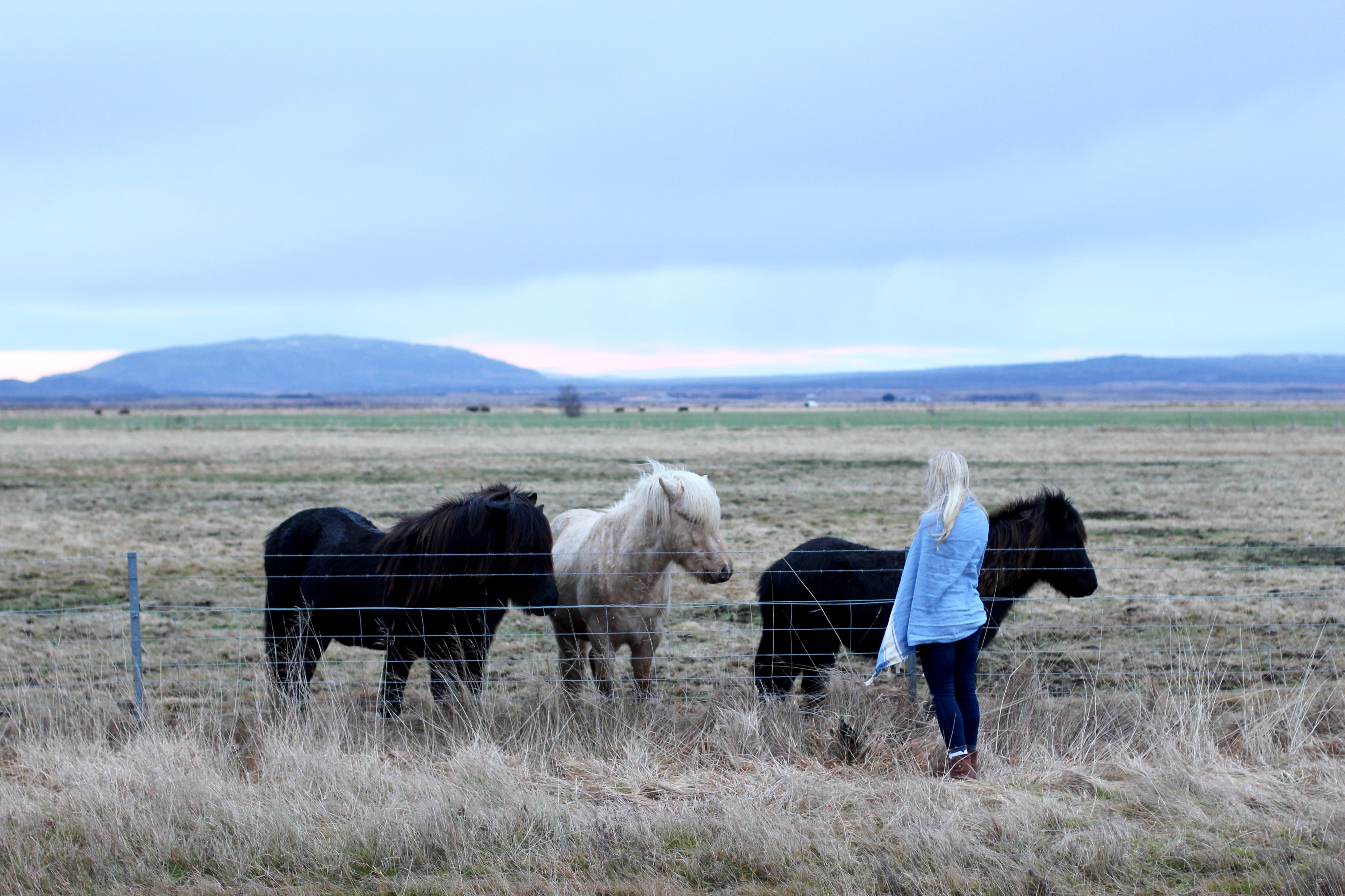 Iceland in 3 Days