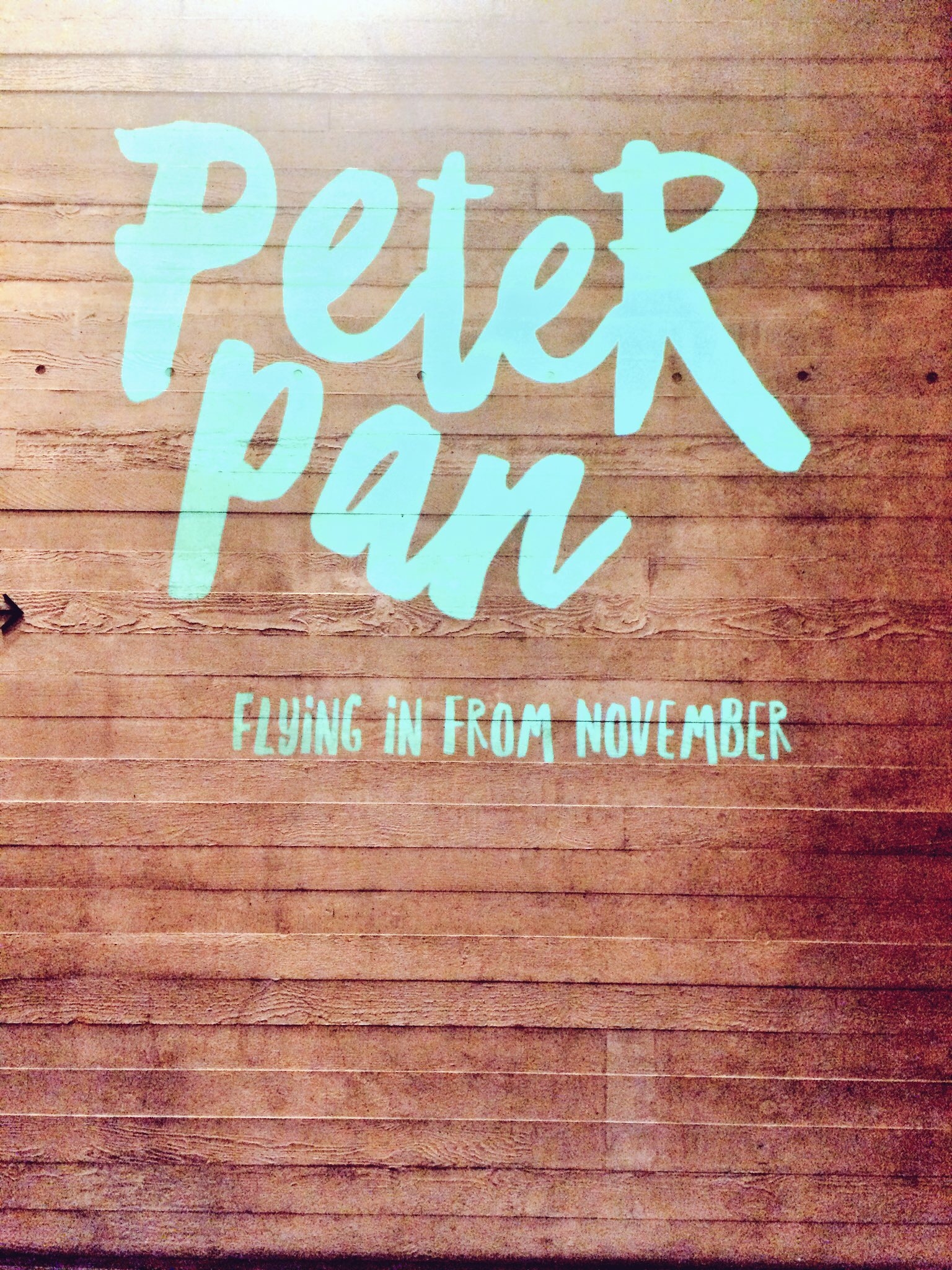 Peter Pan National Theatre Review
