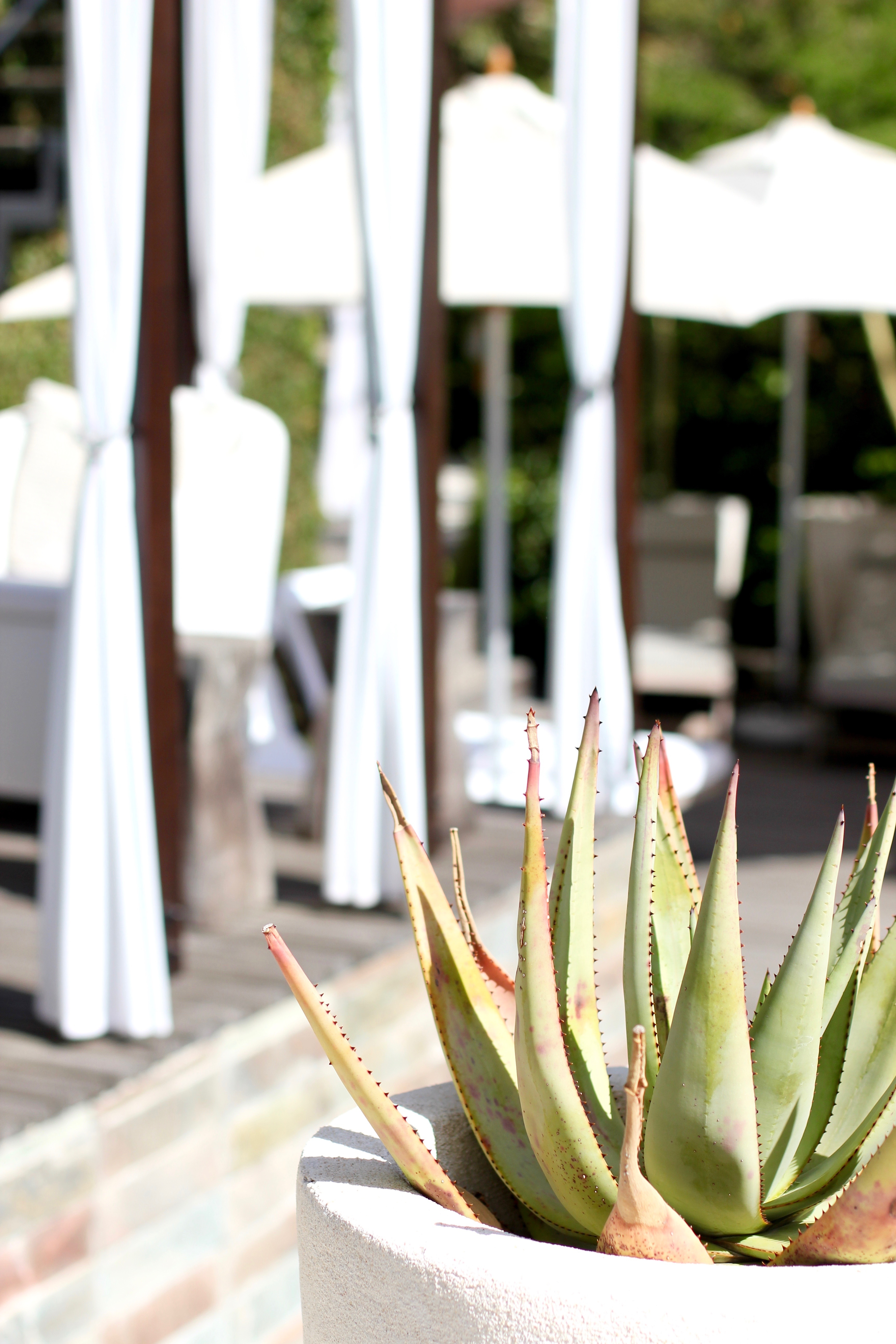 Kensington Place Cape Town