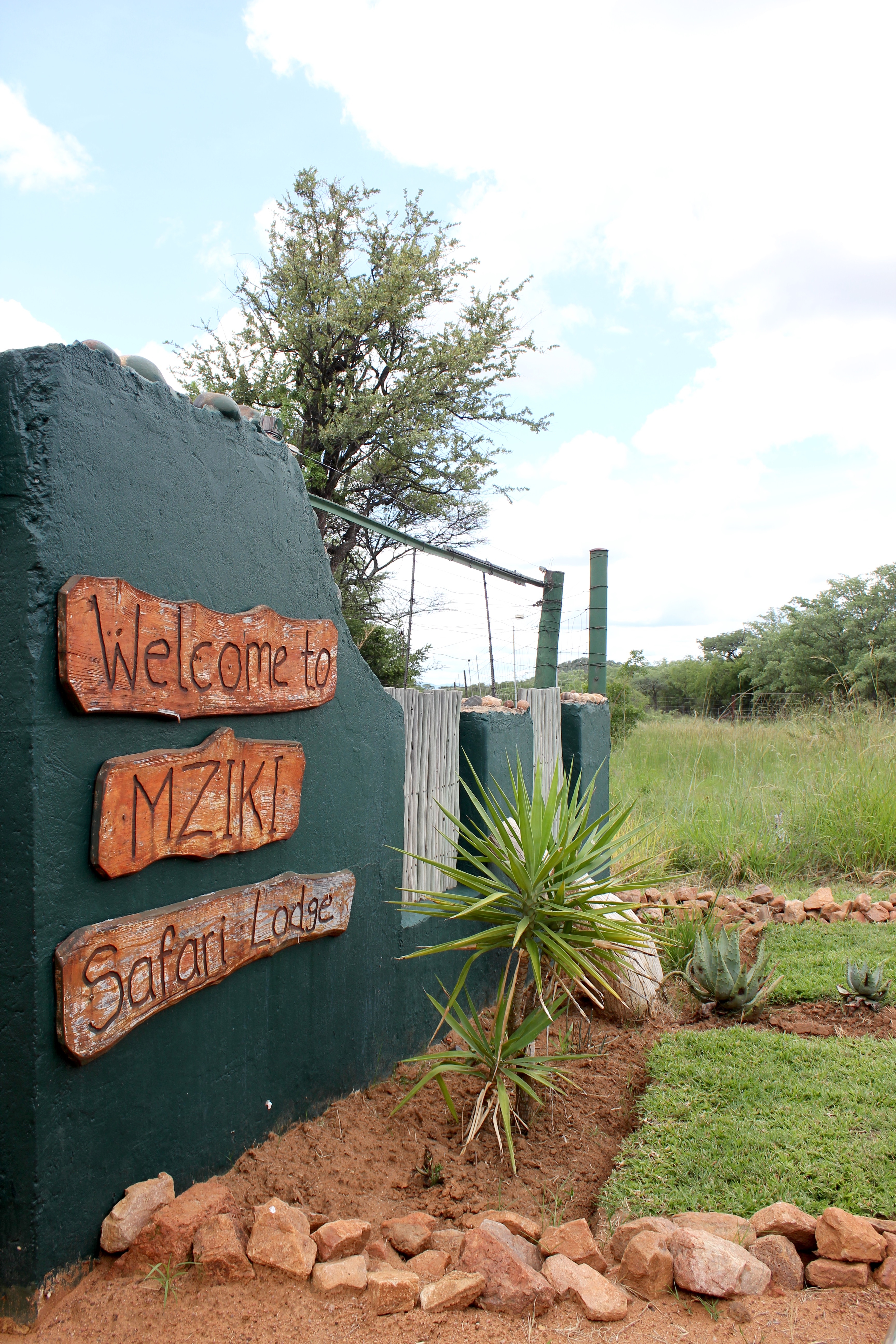 South Africa Safari Mziki Lodge
