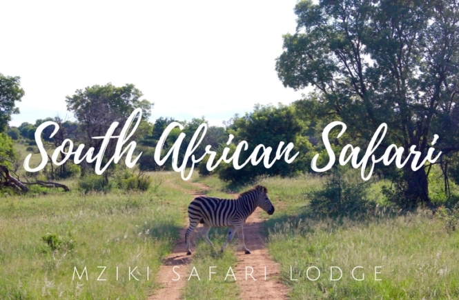 South African Safari Mziki