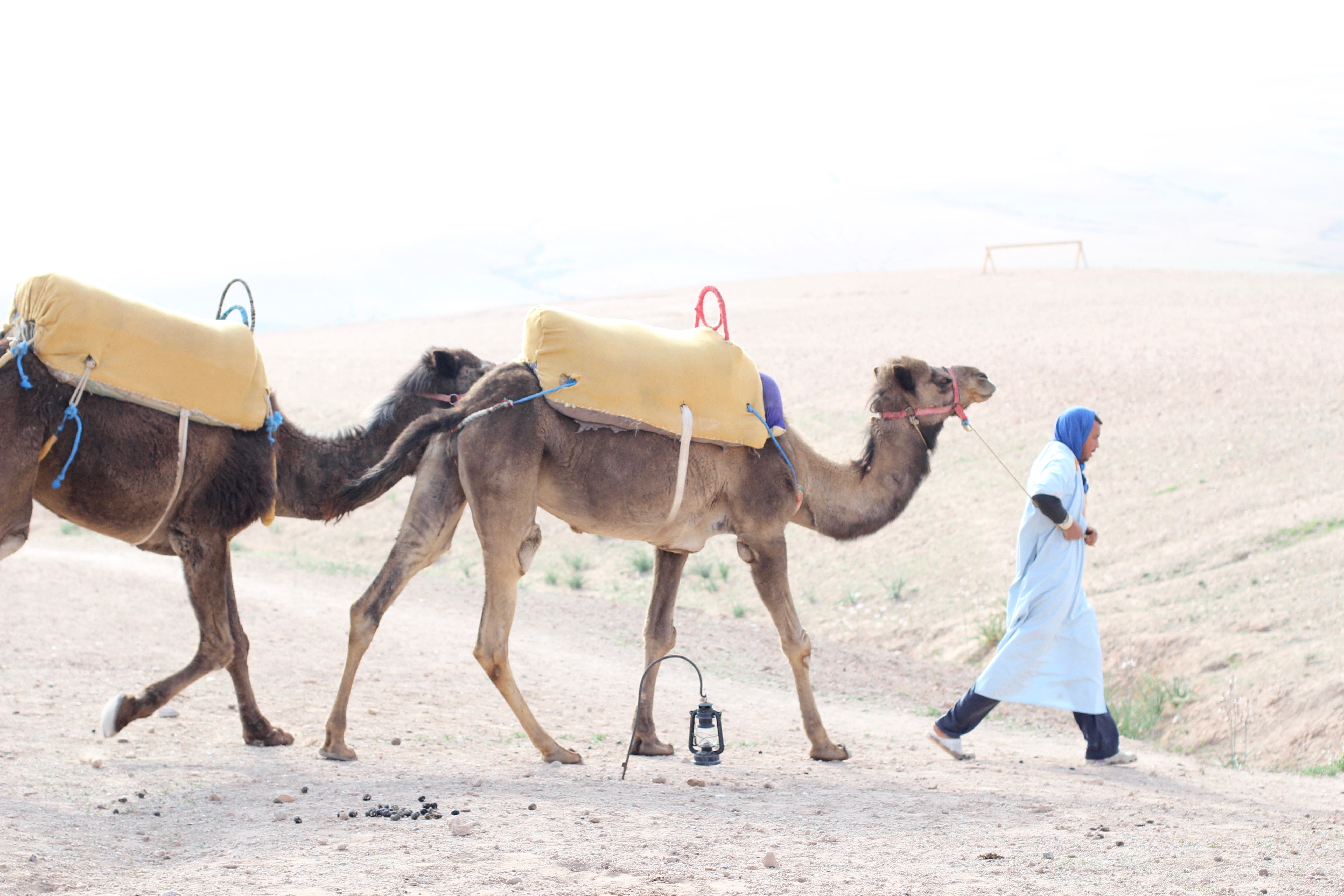 Morocco Glamping at Scarabeo