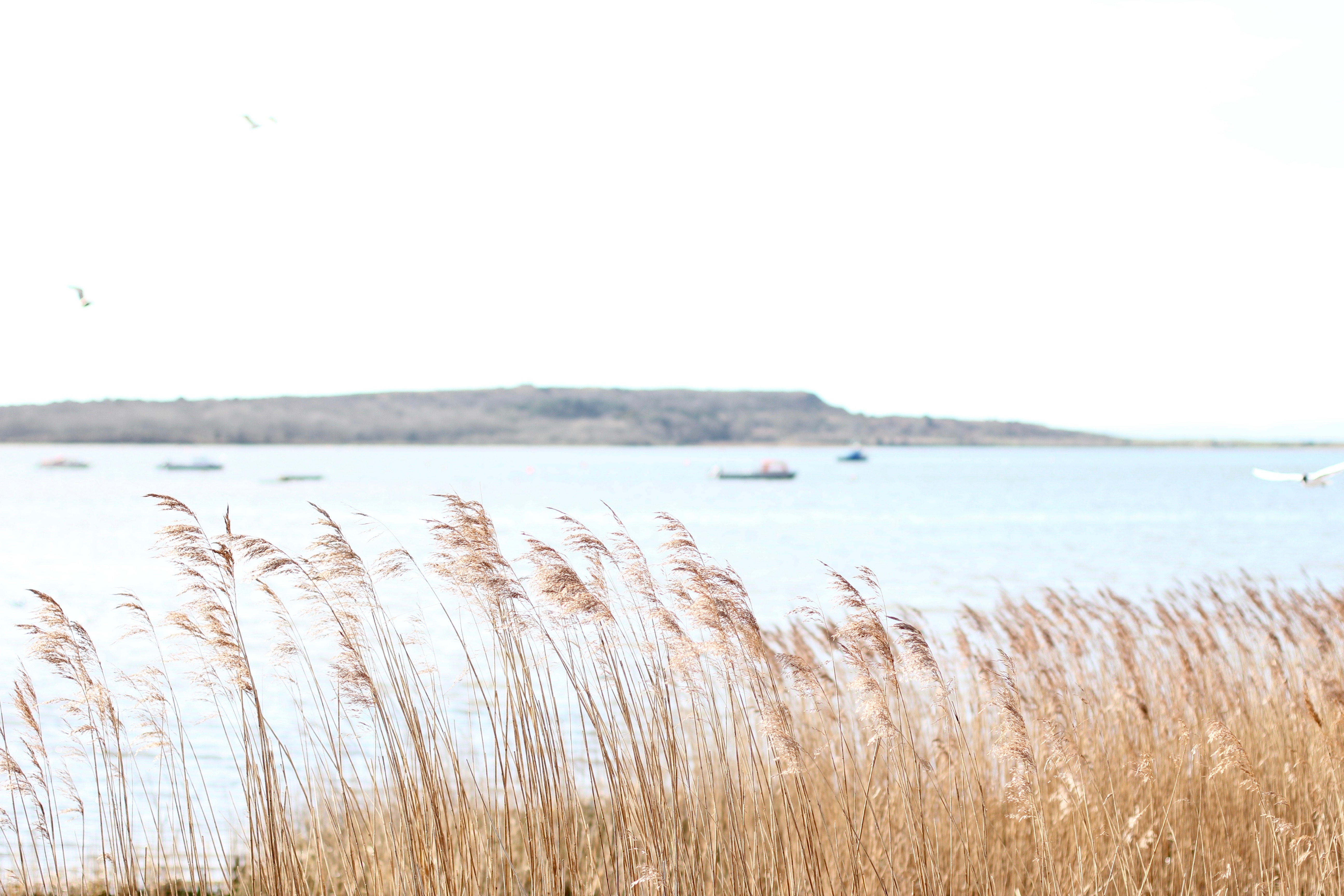 GIRLS GETAWAY HARBOUR HOTEL | the belle abroad