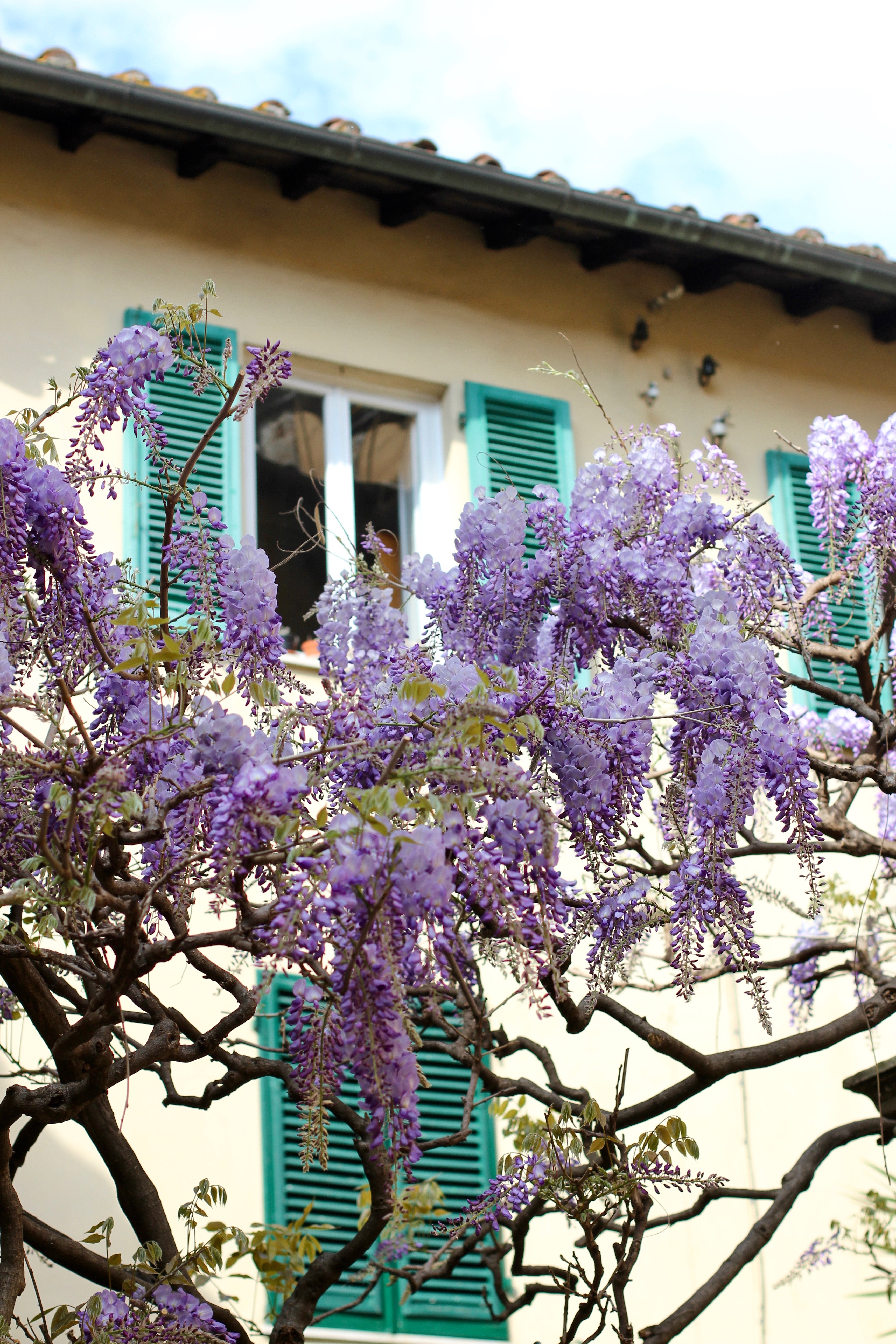 LUCCA, ITALY | the belle abroad