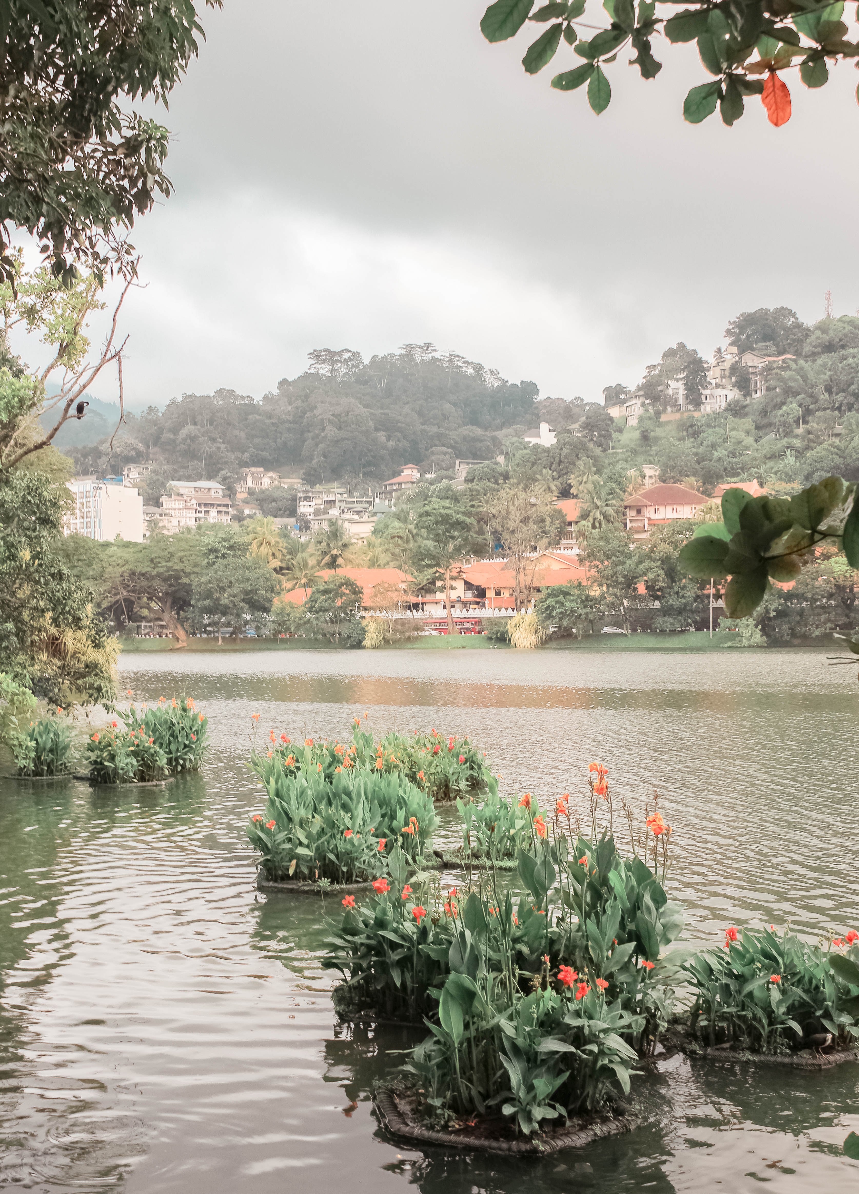 5 THINGS YOU CANT MISS IN KANDY SRI LANKA | the belle abroad