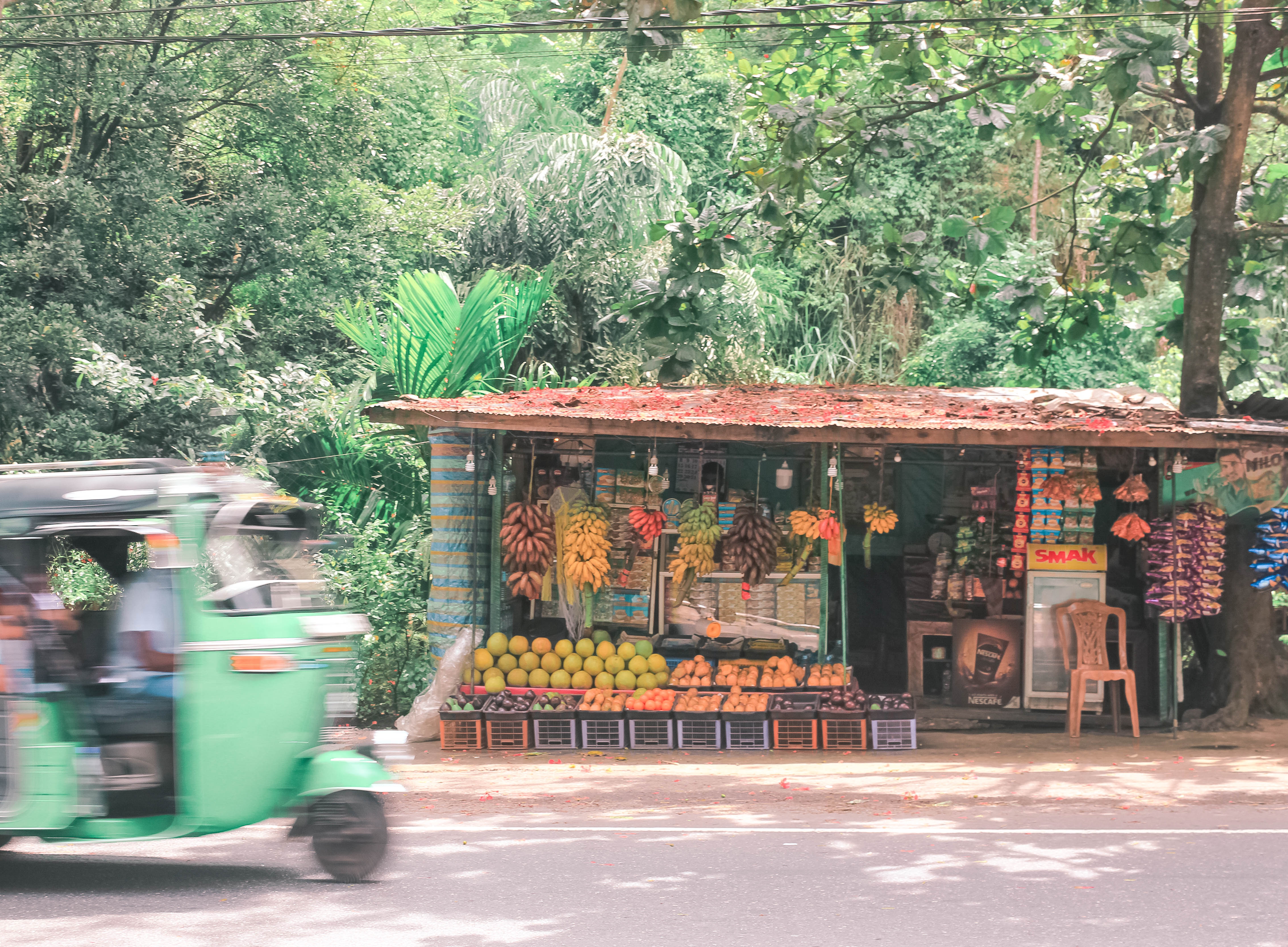 5 THINGS YOU CANT MISS IN KANDY SRI LANKA | the belle abroad