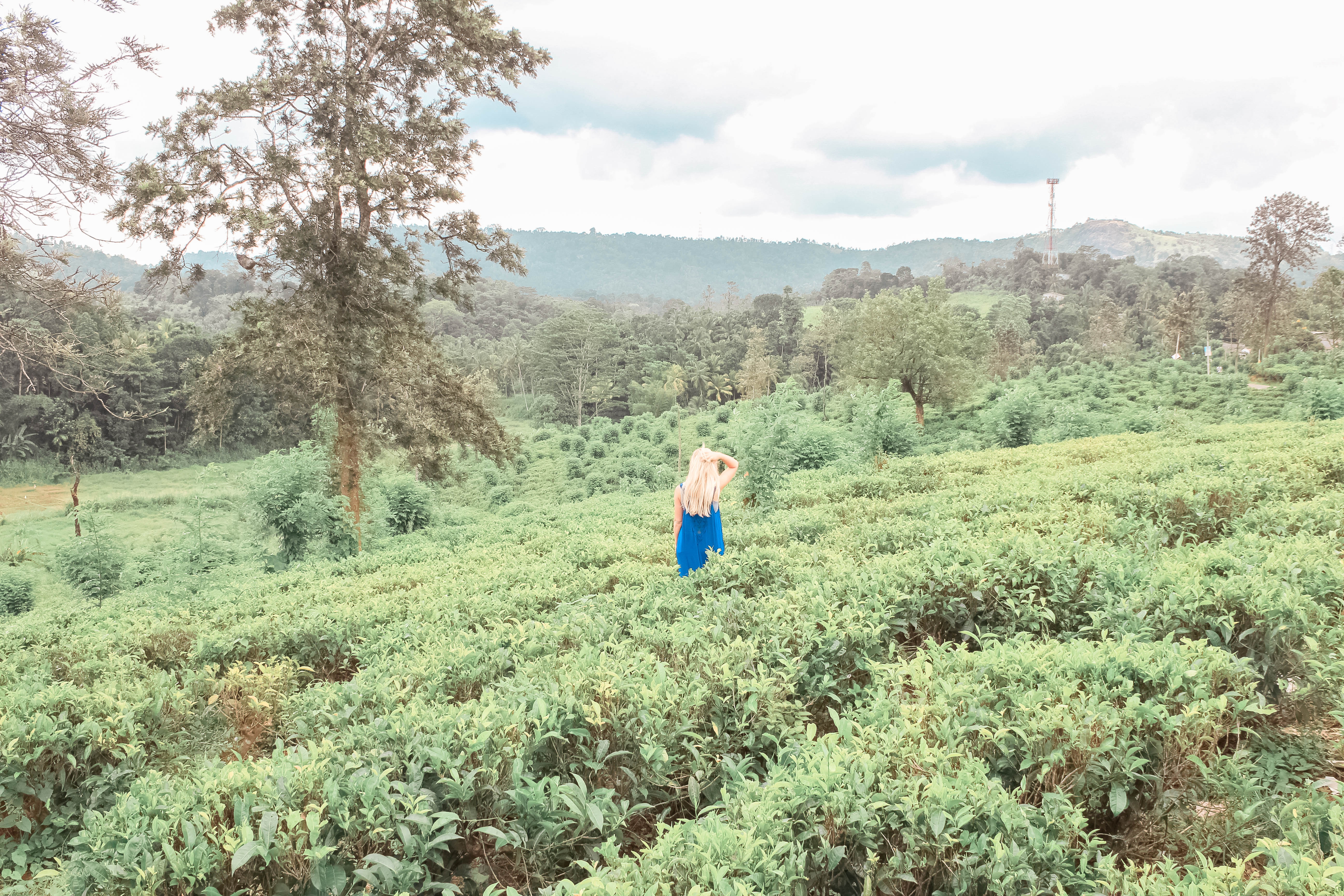 5 THINGS YOU CANT MISS IN KANDY SRI LANKA | the belle abroad